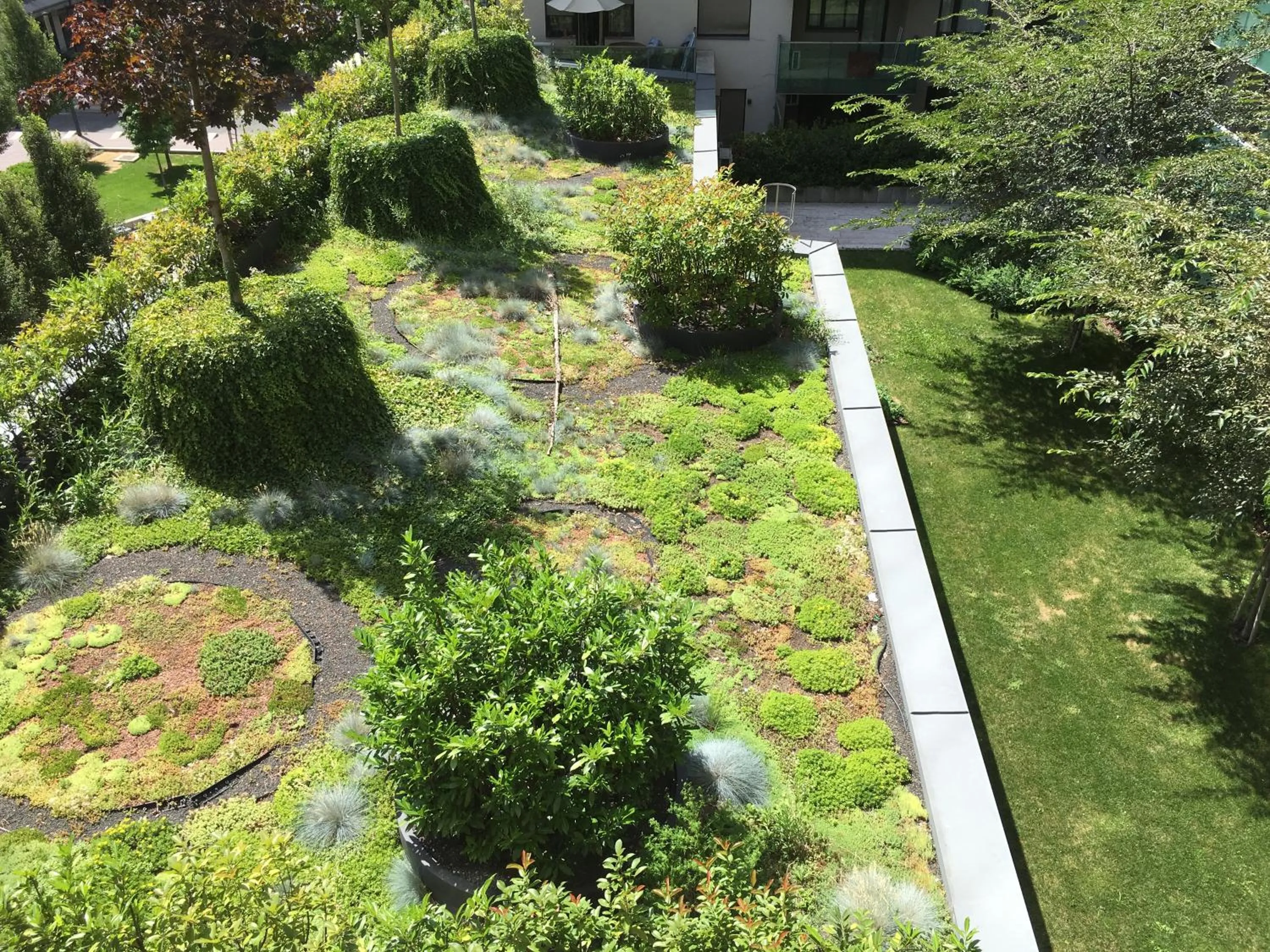 Garden view in Corvin Residence Apartments