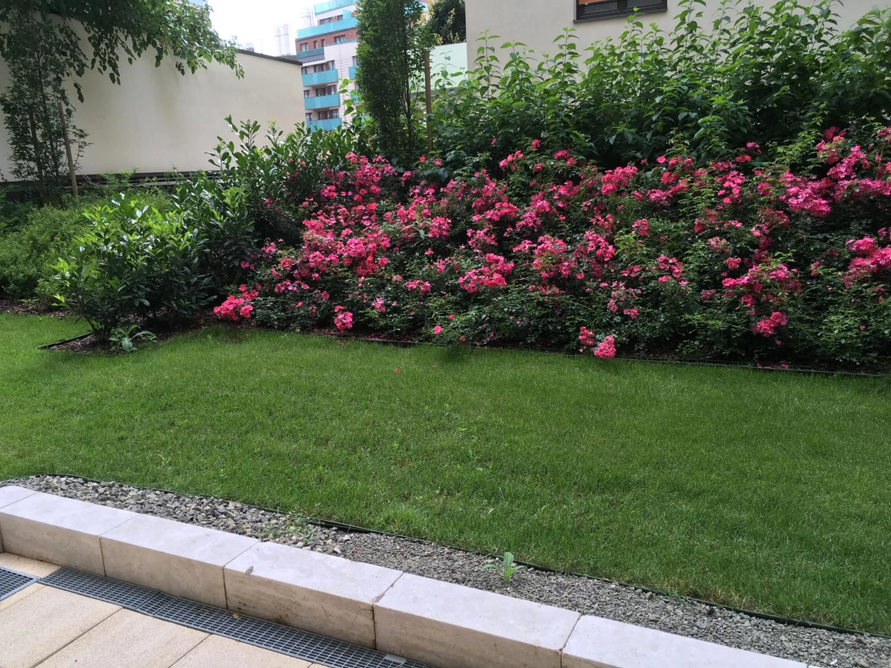 Garden view in Corvin Residence Apartments