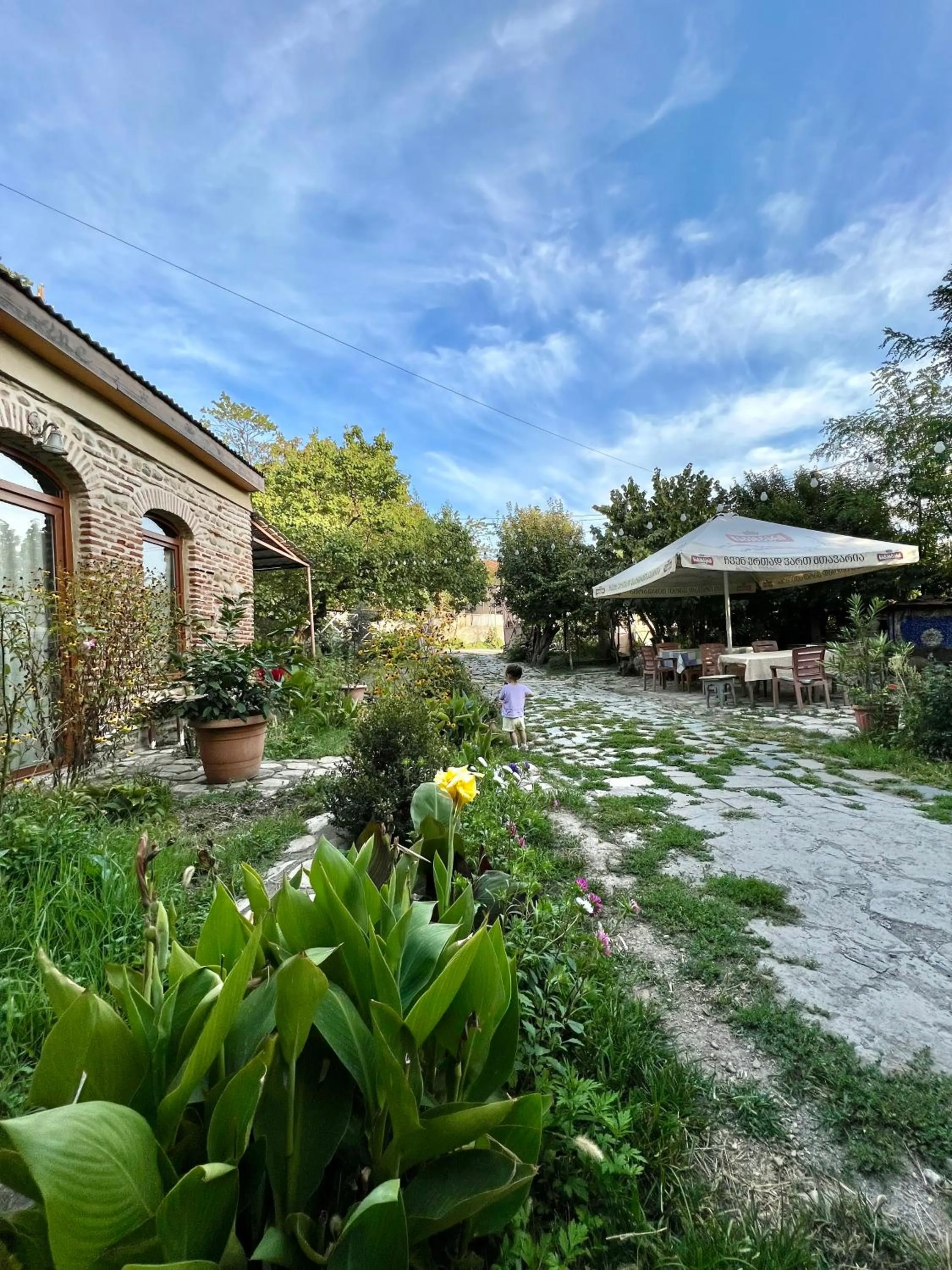Garden view in Guest House Lali