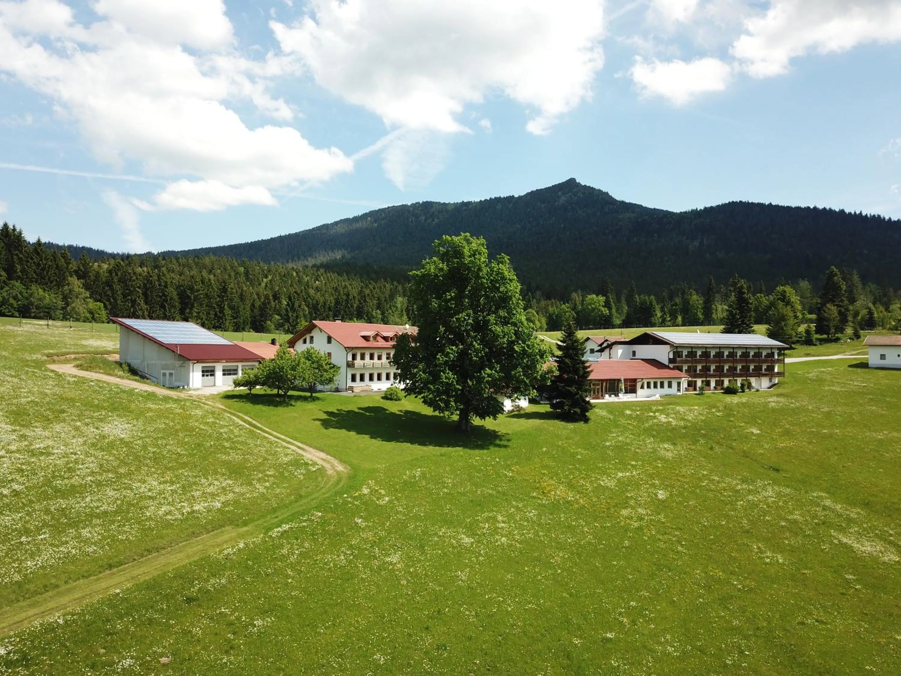Osserhotel - B&B am Osser