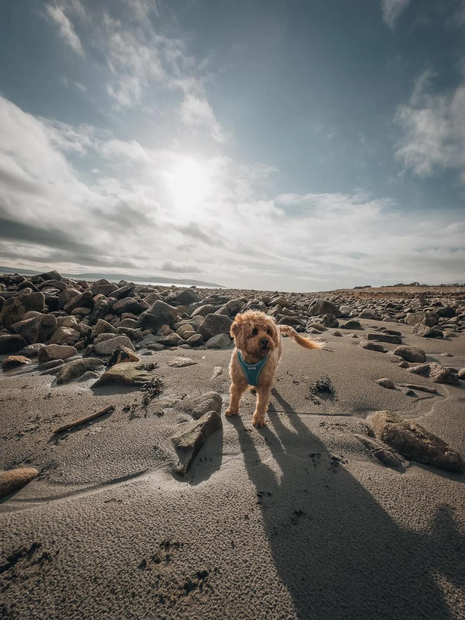 Beach in The Twelve Hotel