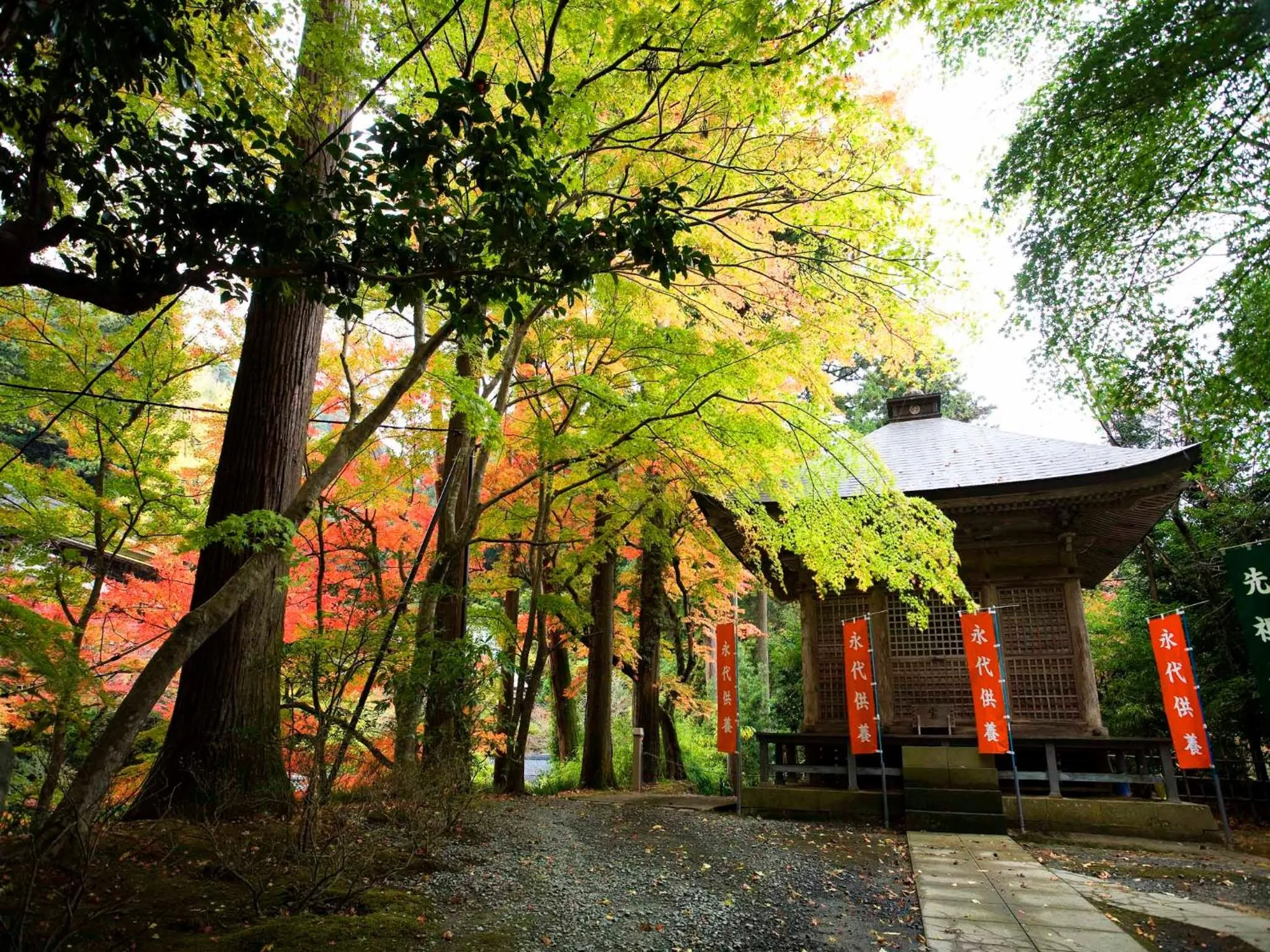 Natural landscape in Shokinkan