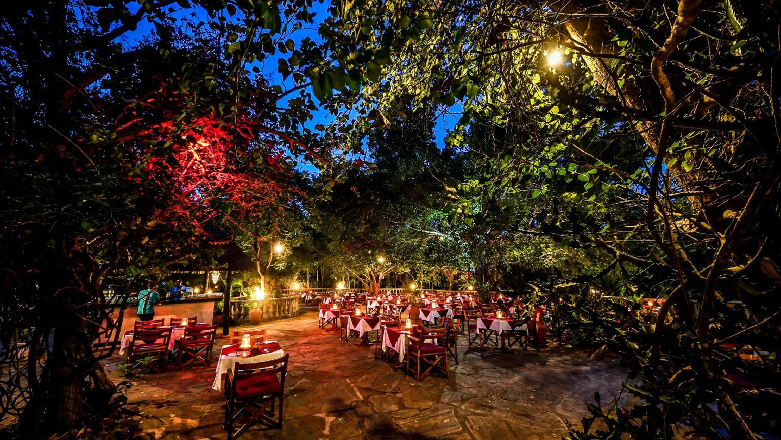 Dinner in Papillon Lagoon Reef Hotel