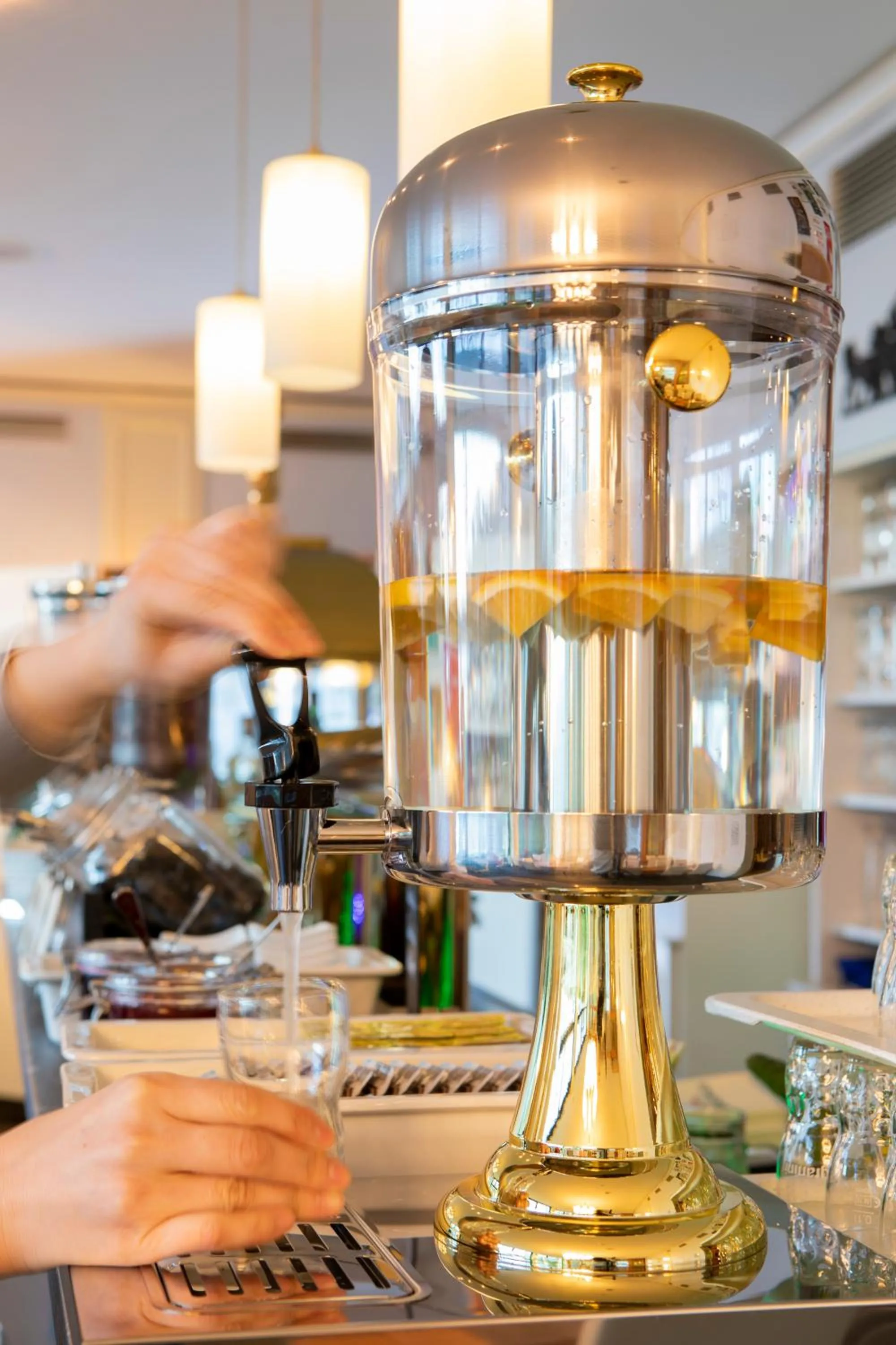 Restaurant/places to eat in Seehotel Grunewald