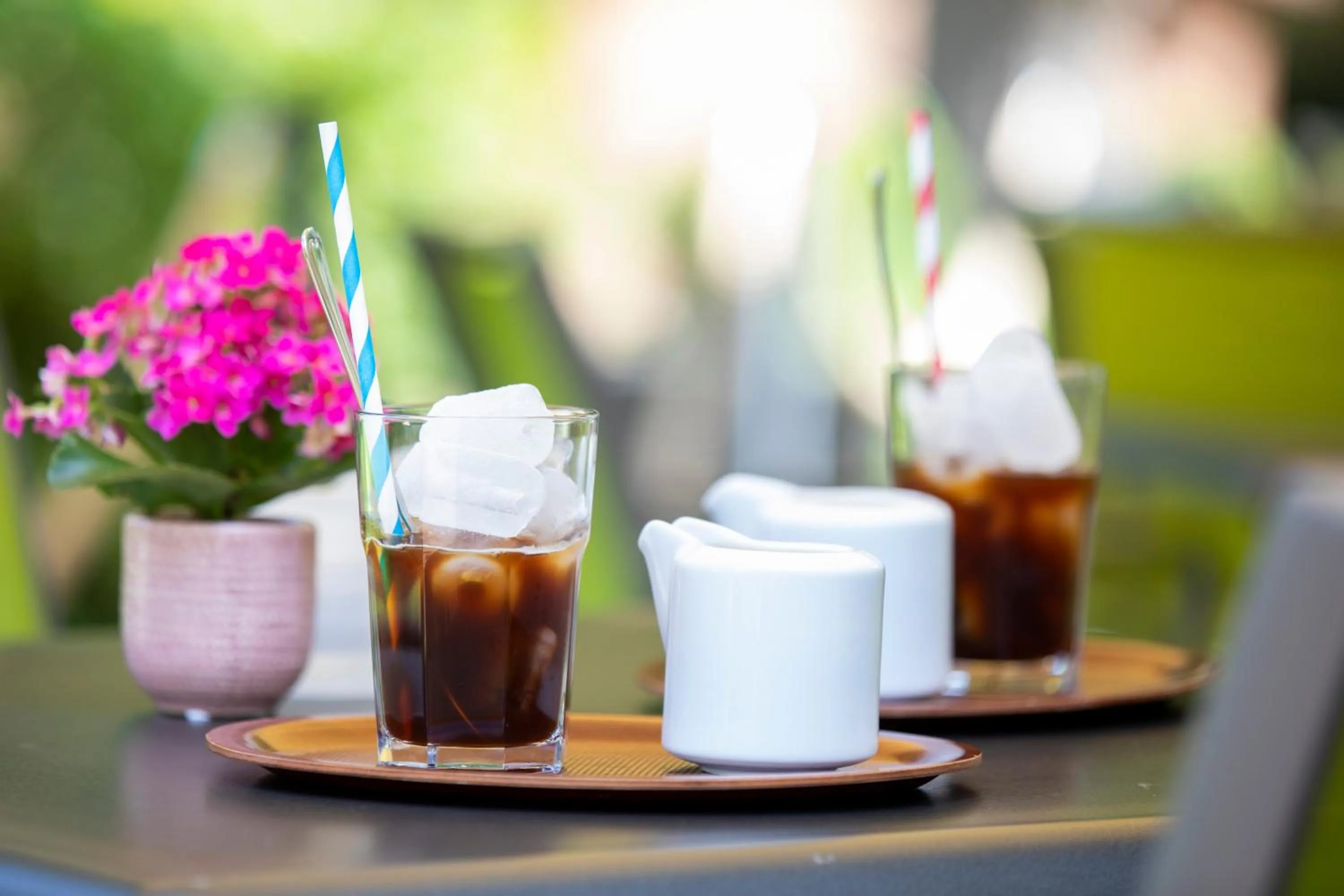 Restaurant/places to eat in Seehotel Grunewald