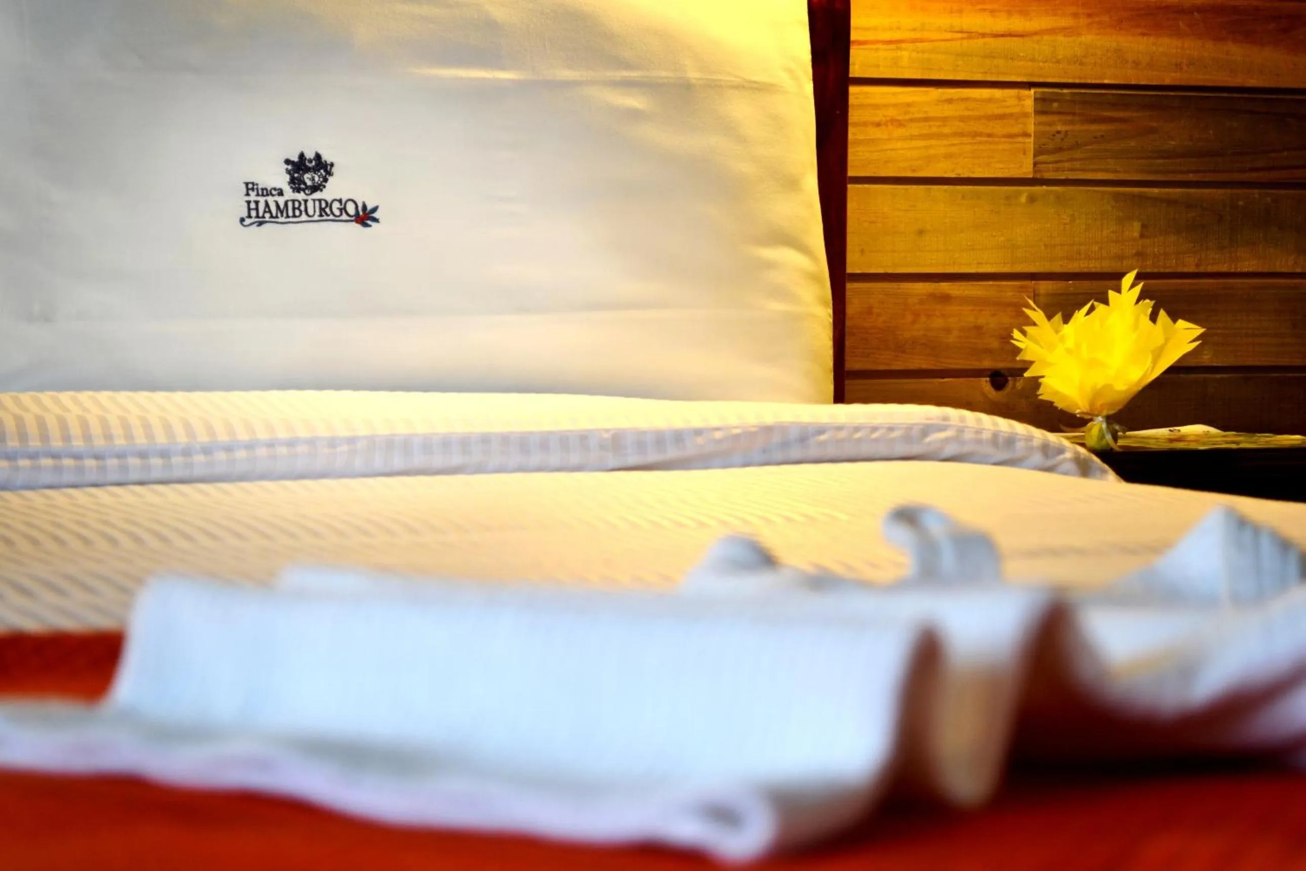 Bed in Finca Hamburgo La Ruta del Cafe