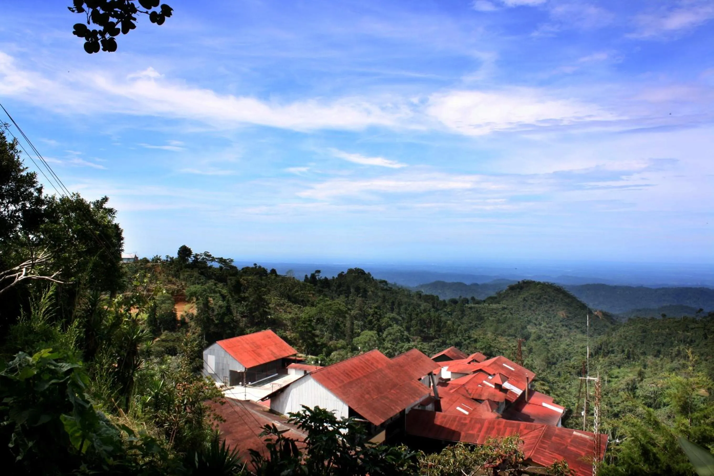 Finca Hamburgo La Ruta del Cafe