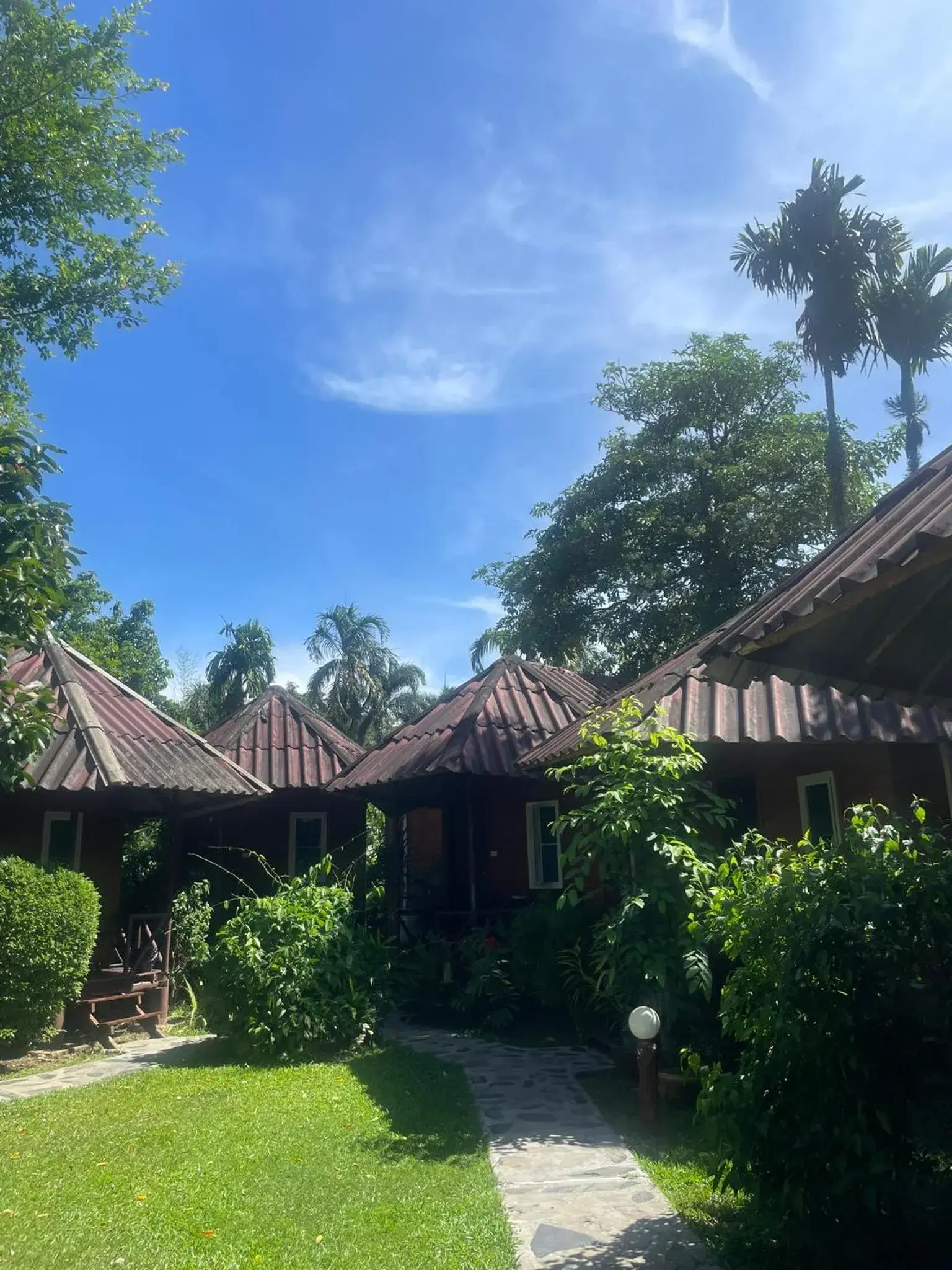 Deluxe Bungalow with Garden View in Jungle View Resort Deluxe Bungalow with Garden View in Jungle View Resort