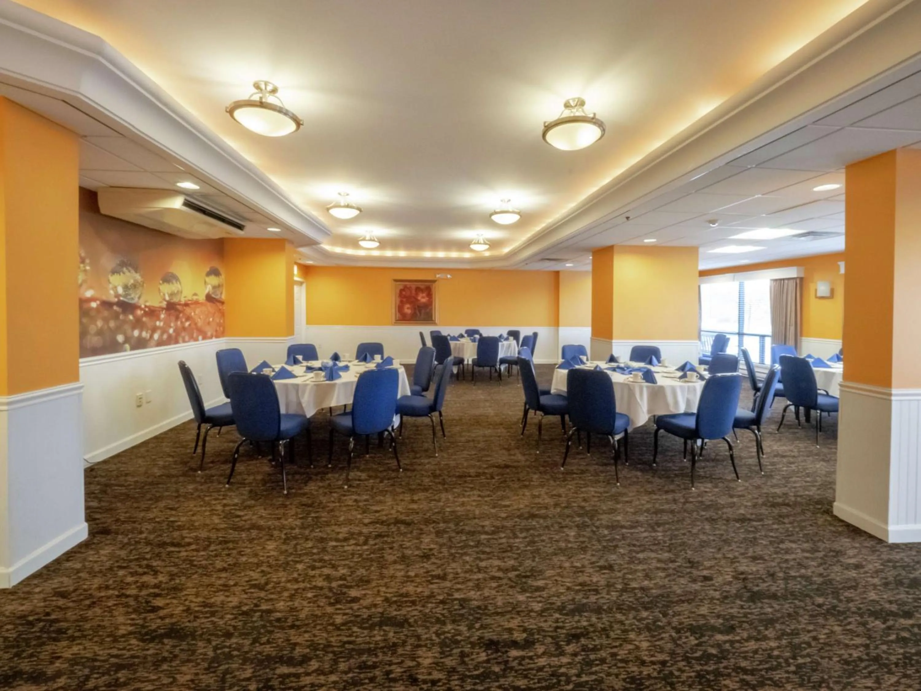 Meeting/conference room in DoubleTree by Hilton Buffalo-Amherst