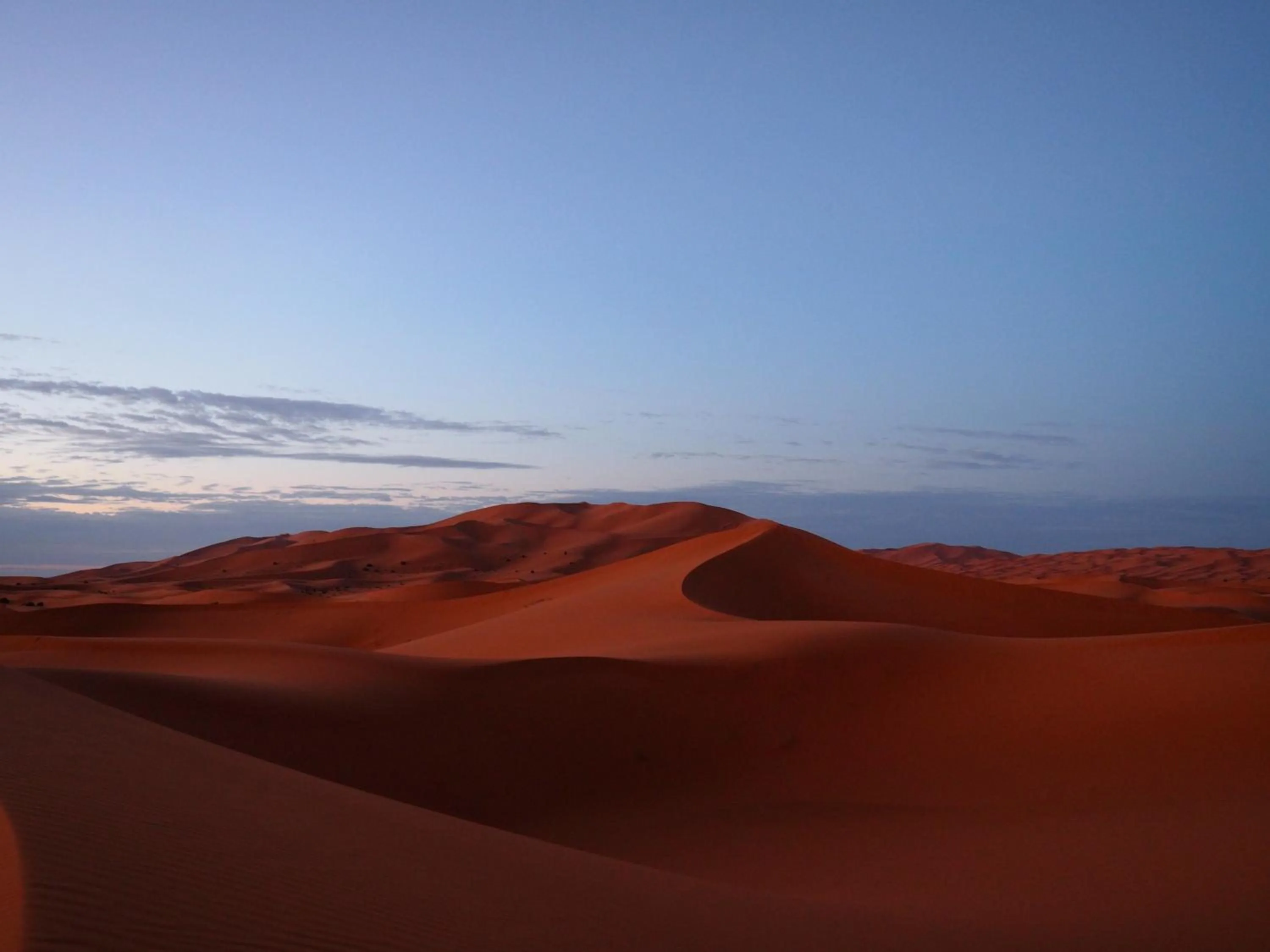 Activities in Maison d'hôtes Dar Farhana
