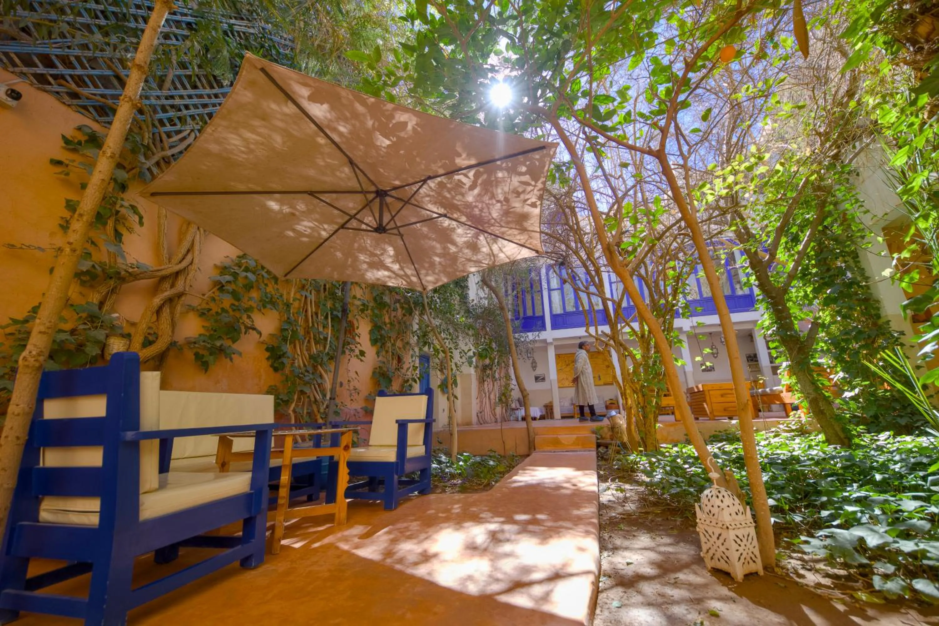 Garden in Maison d'hôtes Dar Farhana