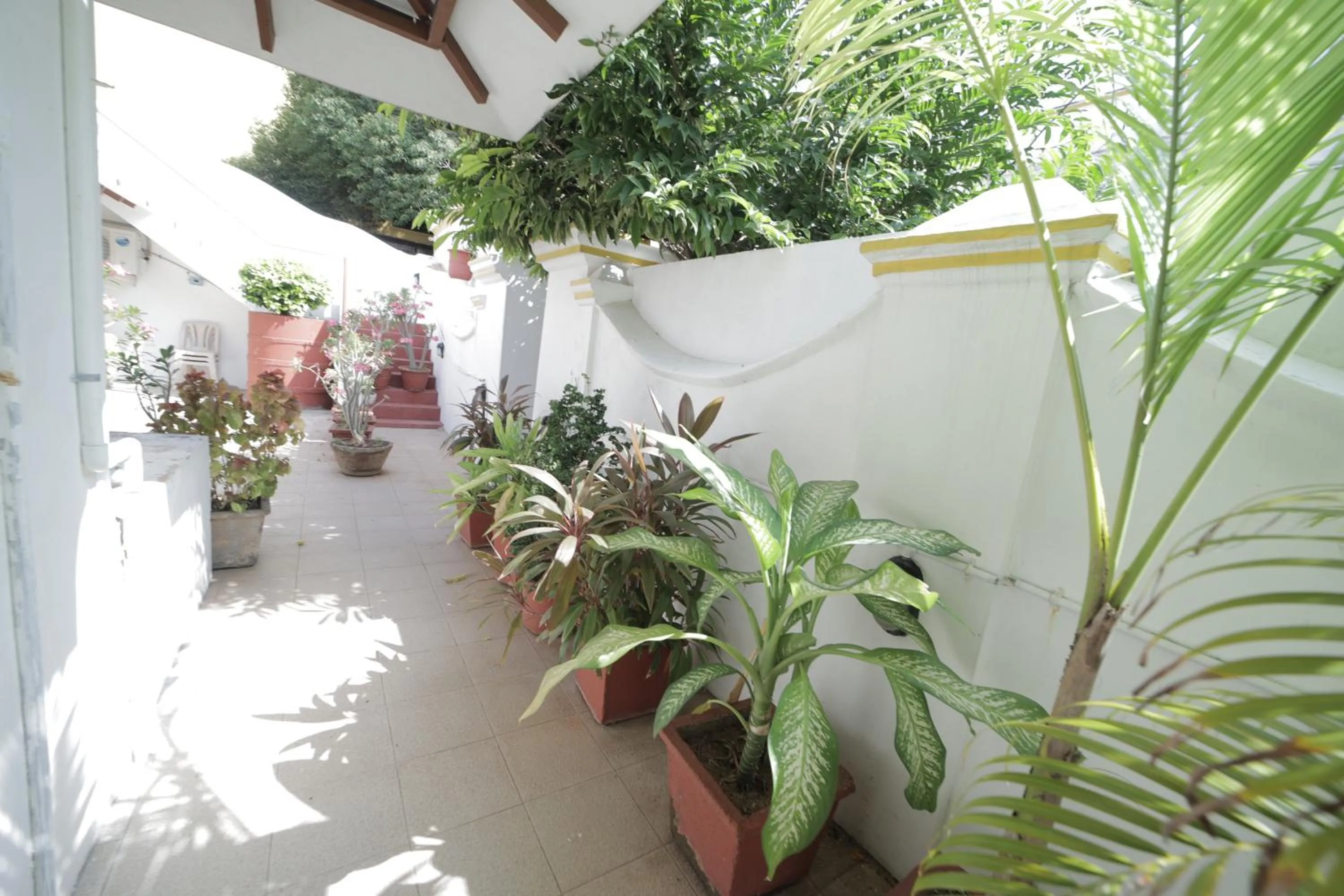 Garden in Dumas Guest House