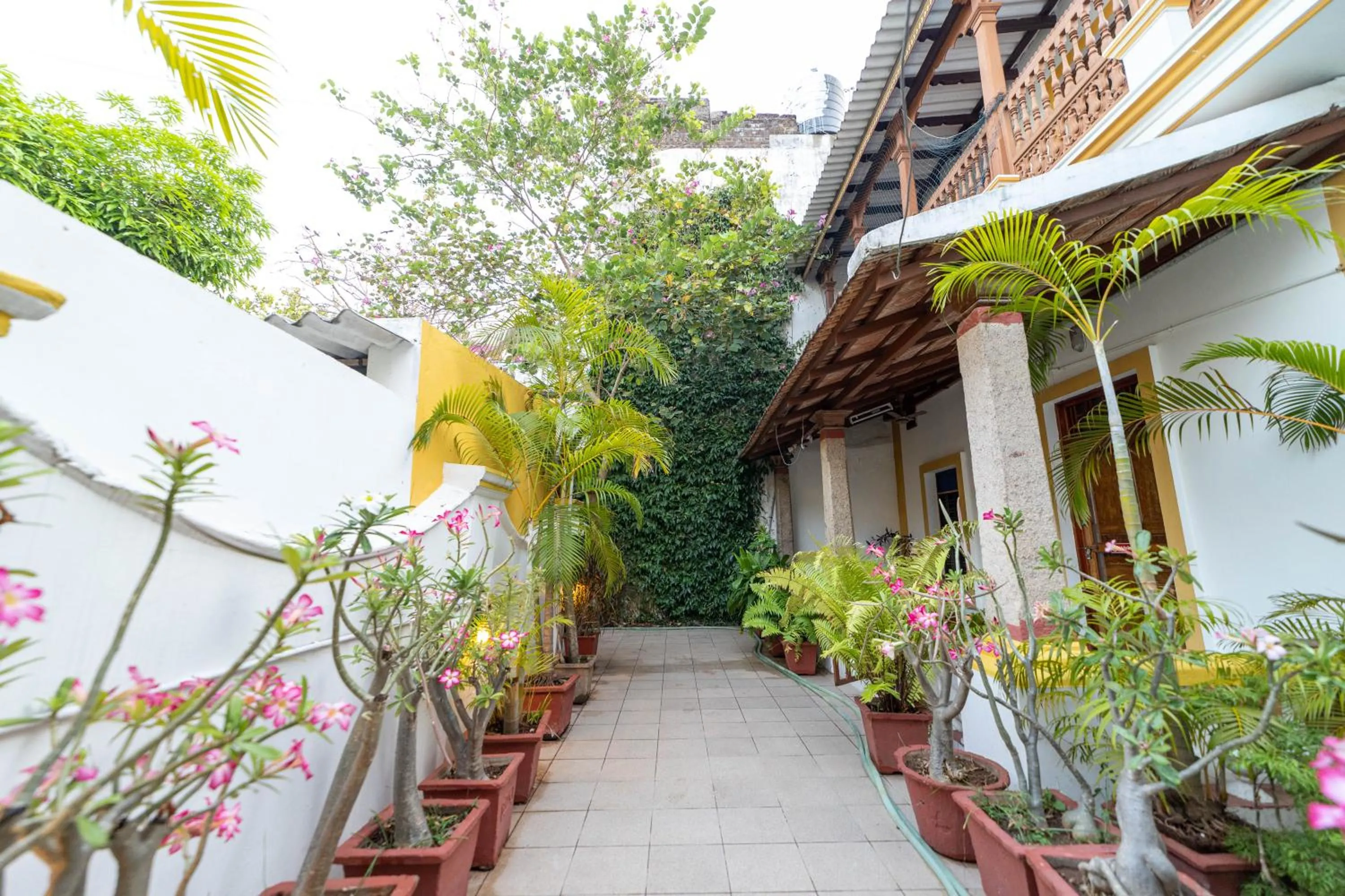 Garden in Dumas Guest House