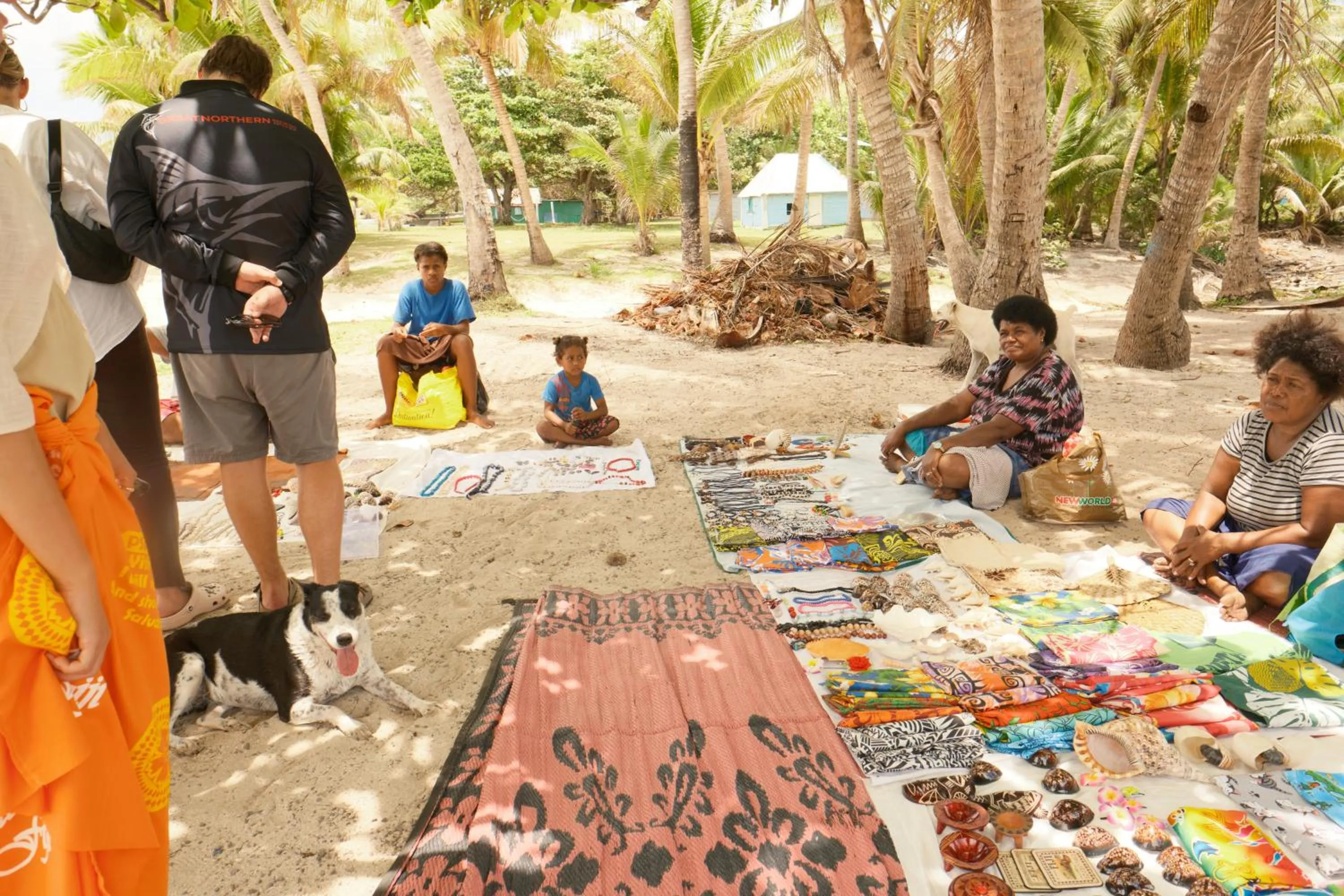 Day in Navutu Stars Resort
