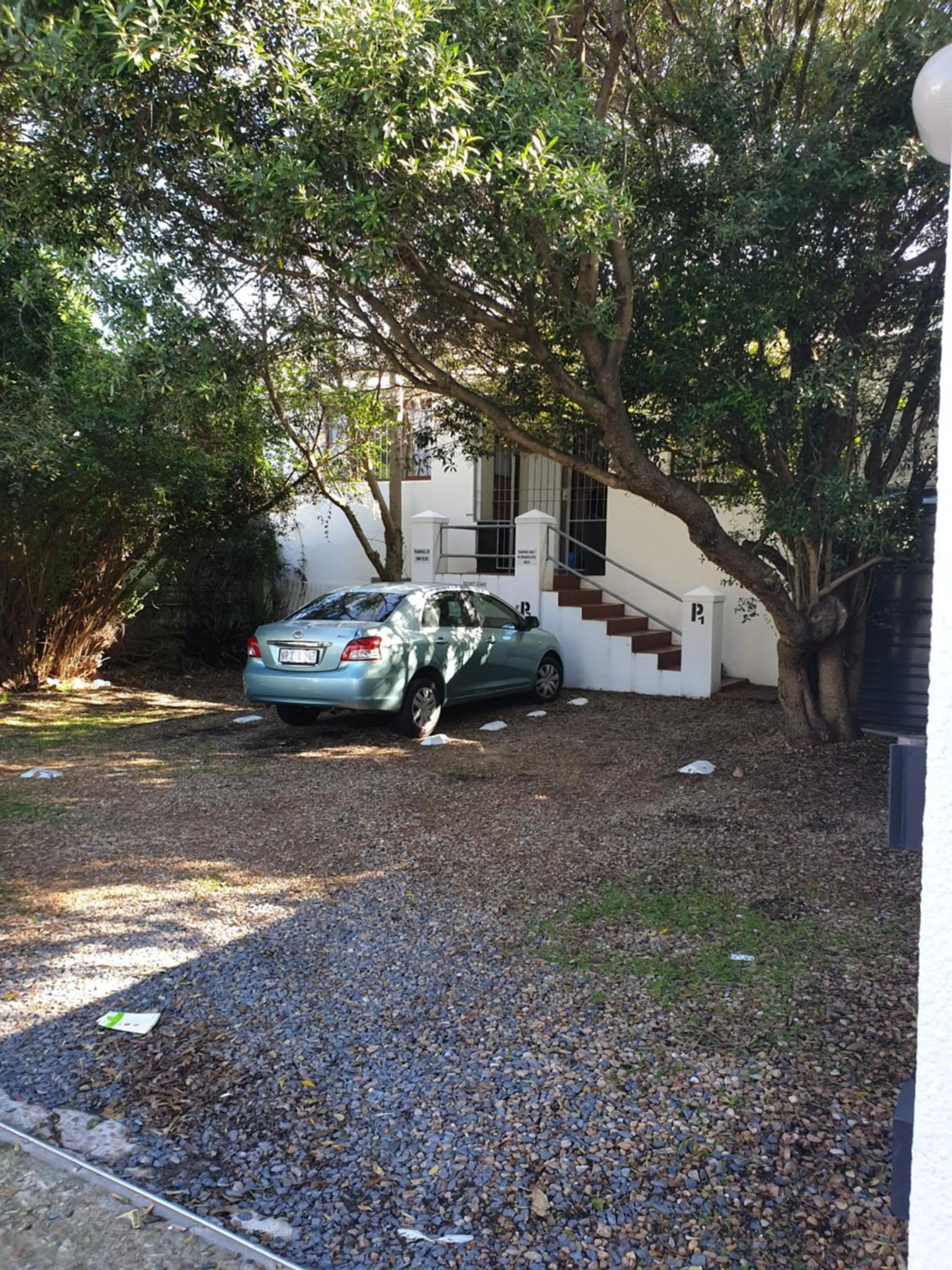 Parking in Zebra Crossing Backpacker