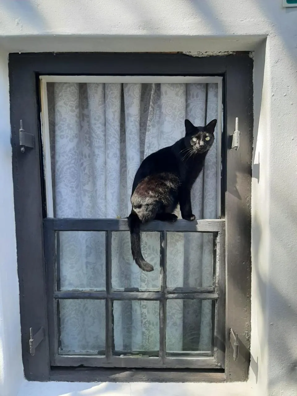 Staff in Zebra Crossing Backpacker