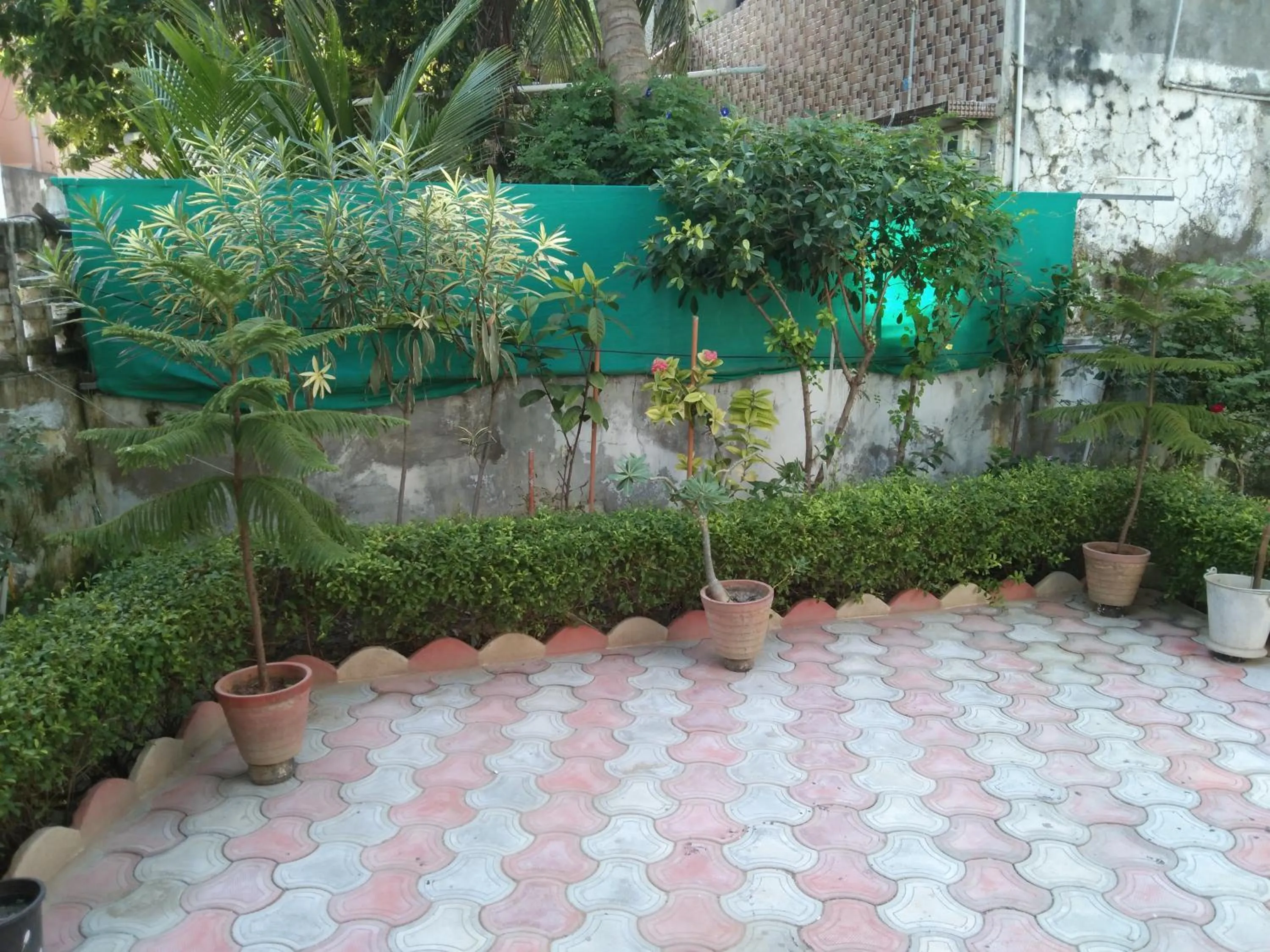 Garden in Gurukrupa Bunglow