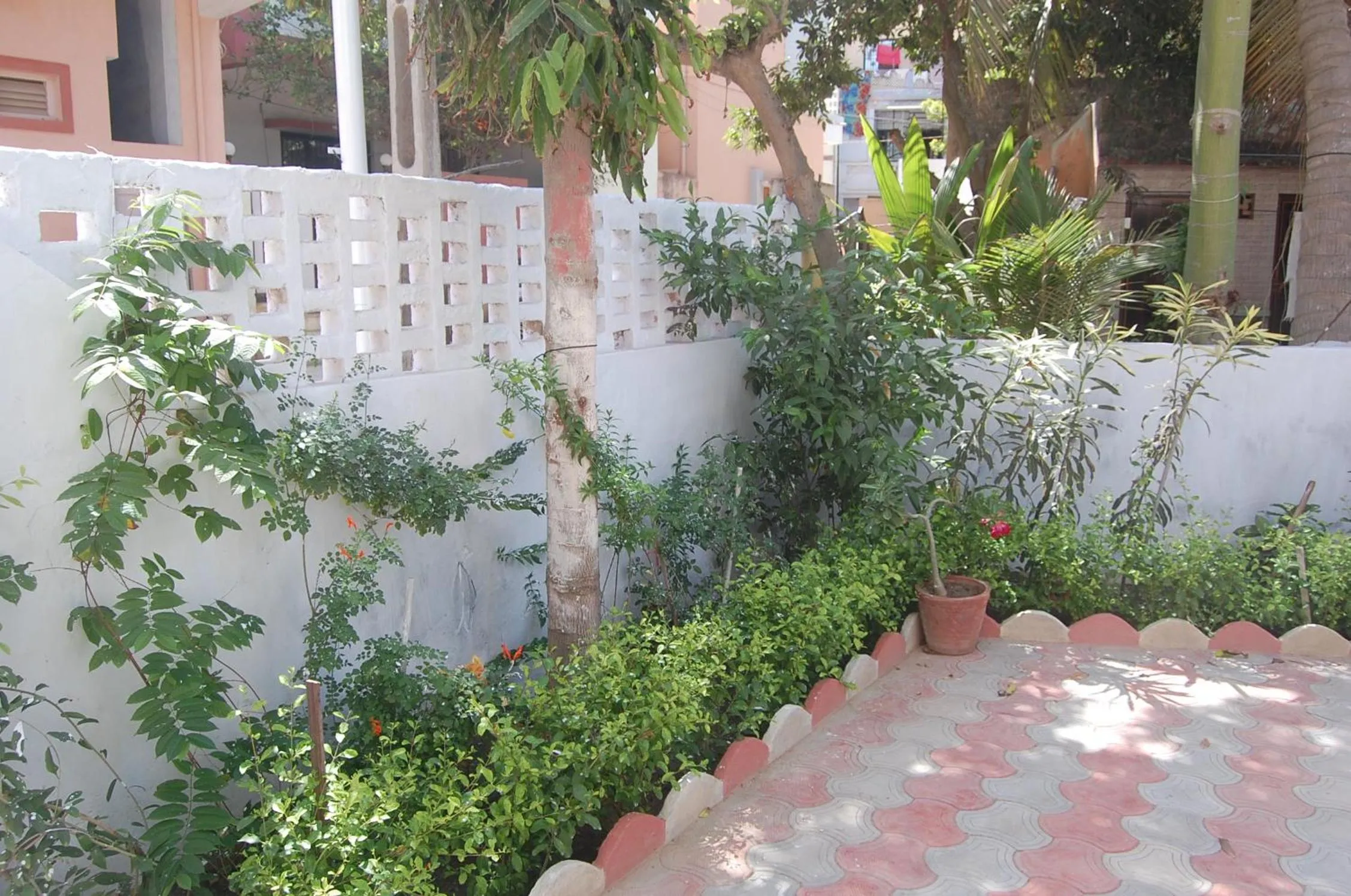 Garden in Gurukrupa Bunglow