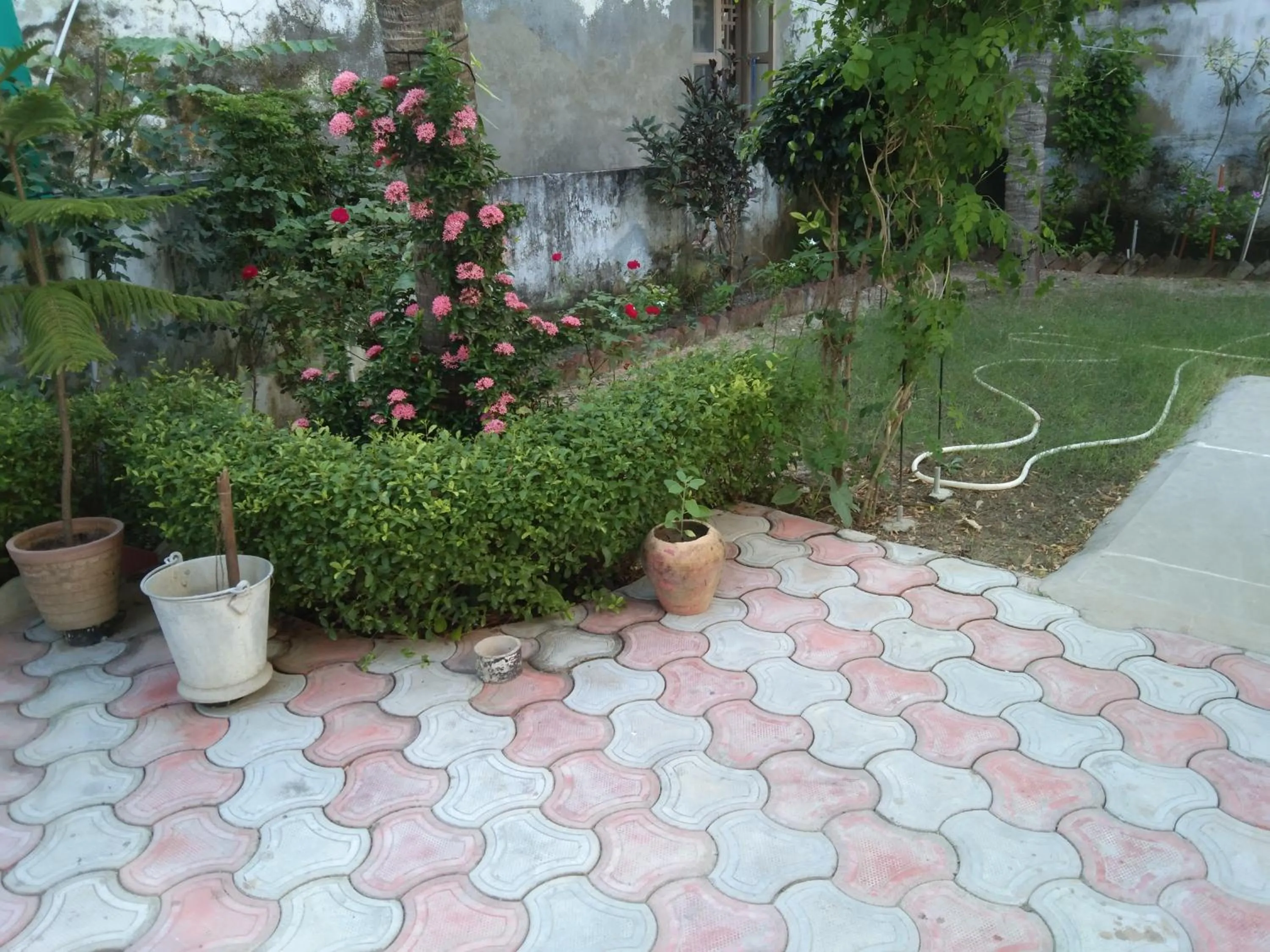 Garden in Gurukrupa Bunglow