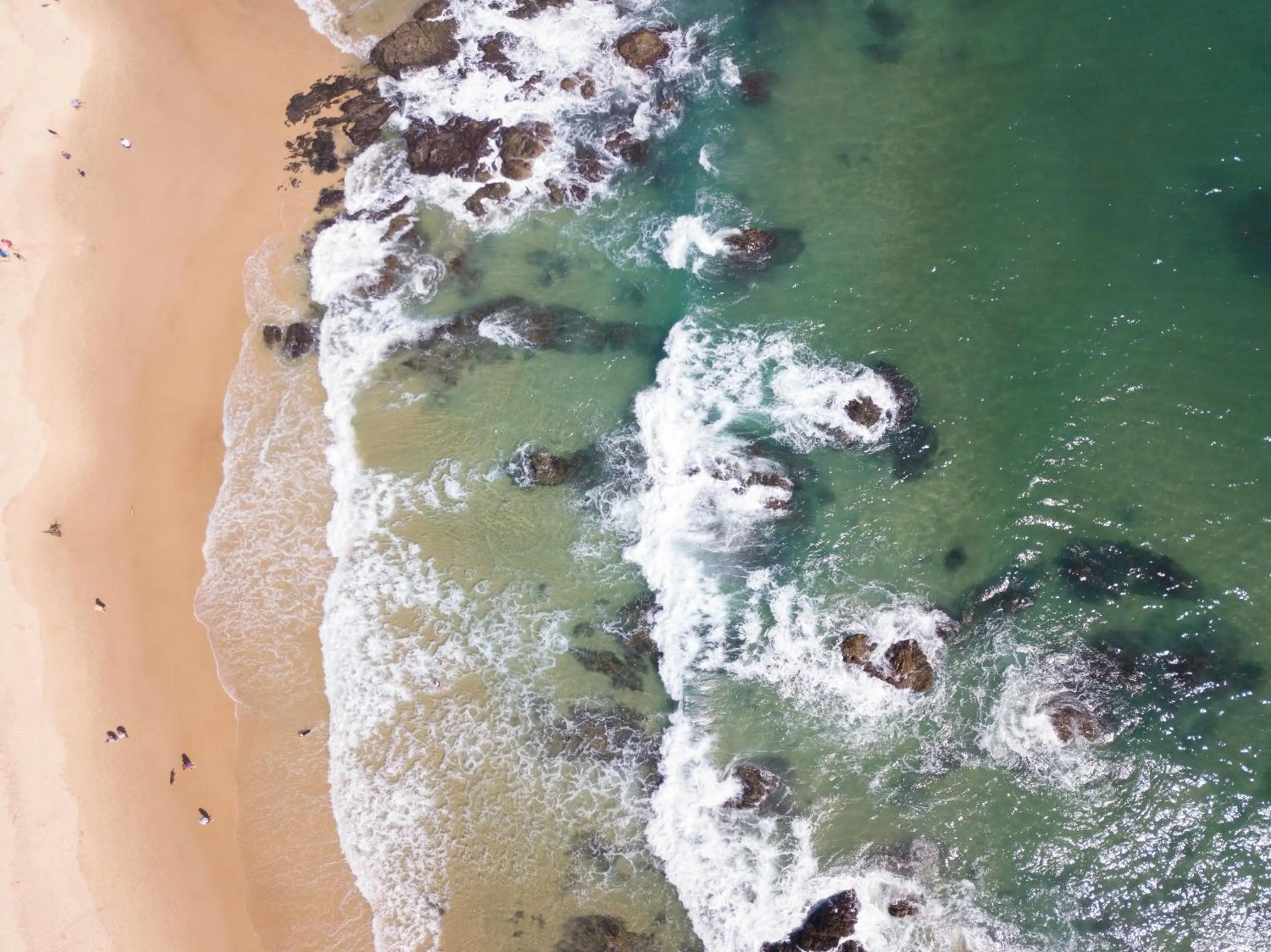 Beach in Ozzie Pozzie Backpackers