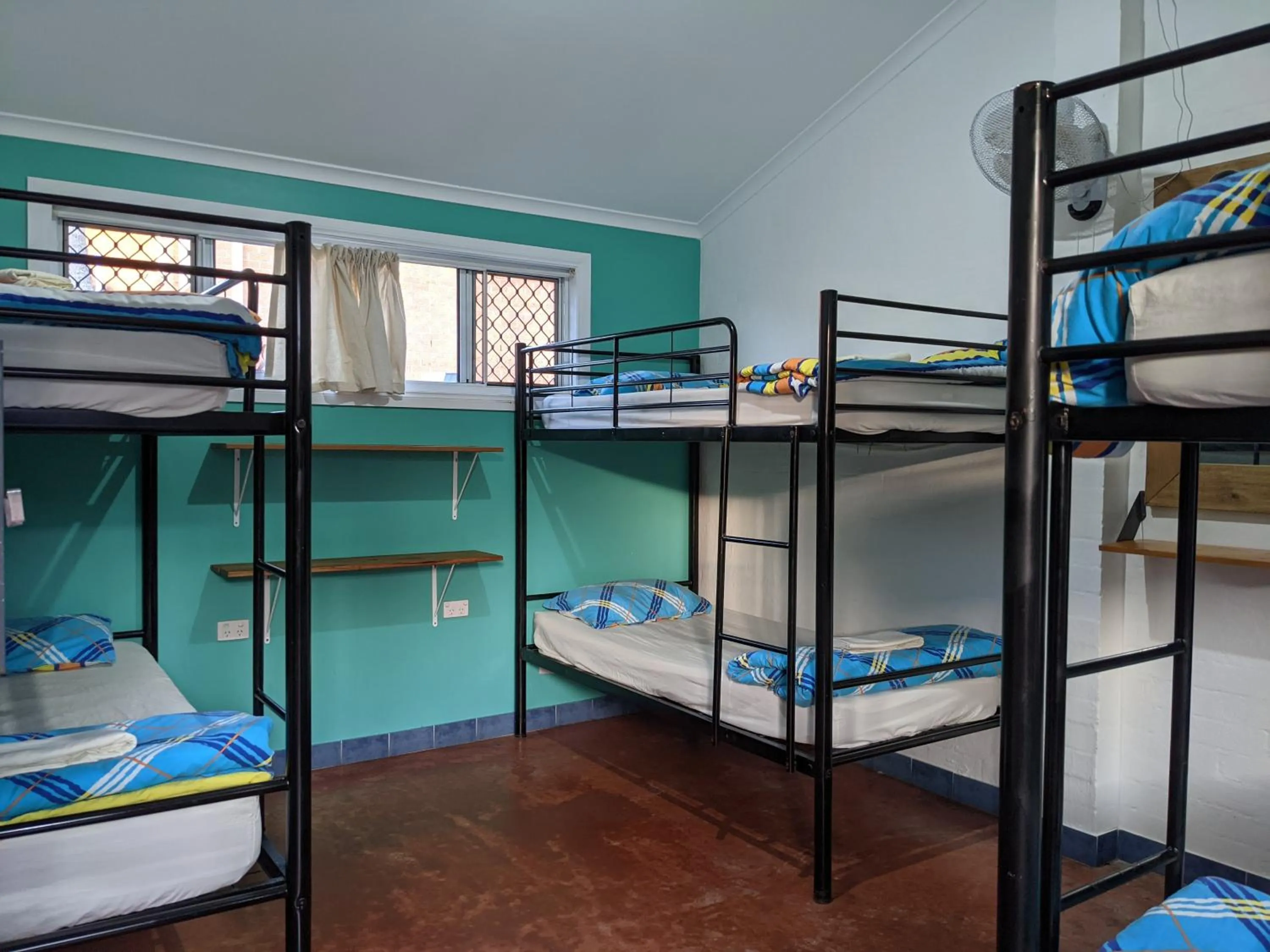 bunk bed, Bed in Ozzie Pozzie Backpackers