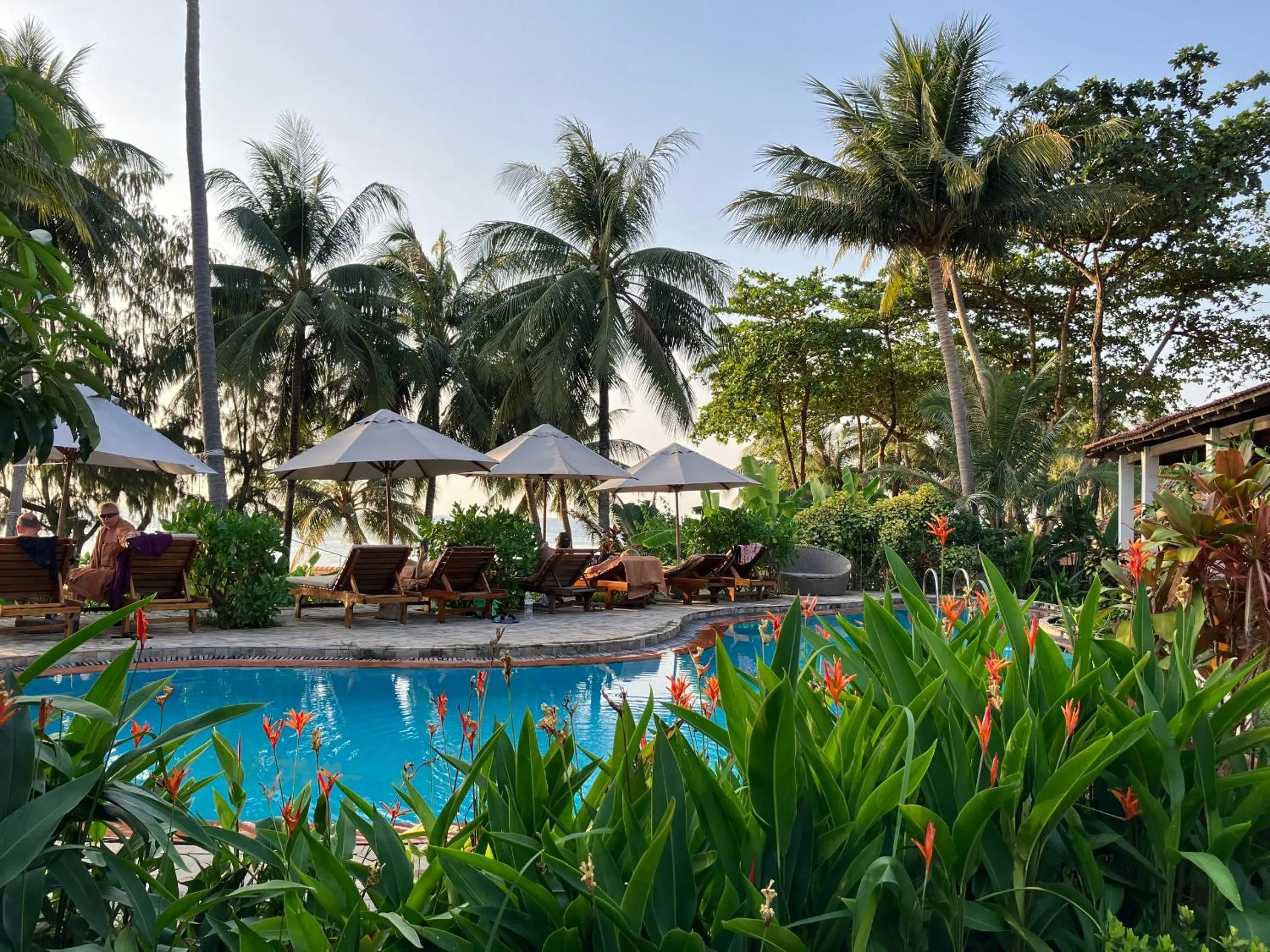 Cassia Cottage Resort and Spa