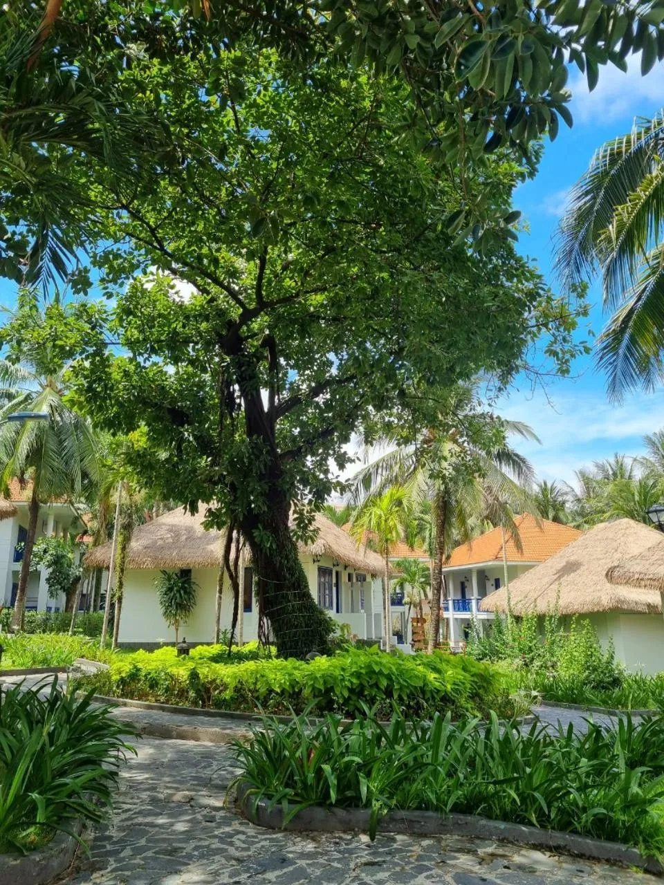 Garden in L'Azure Resort and Spa
