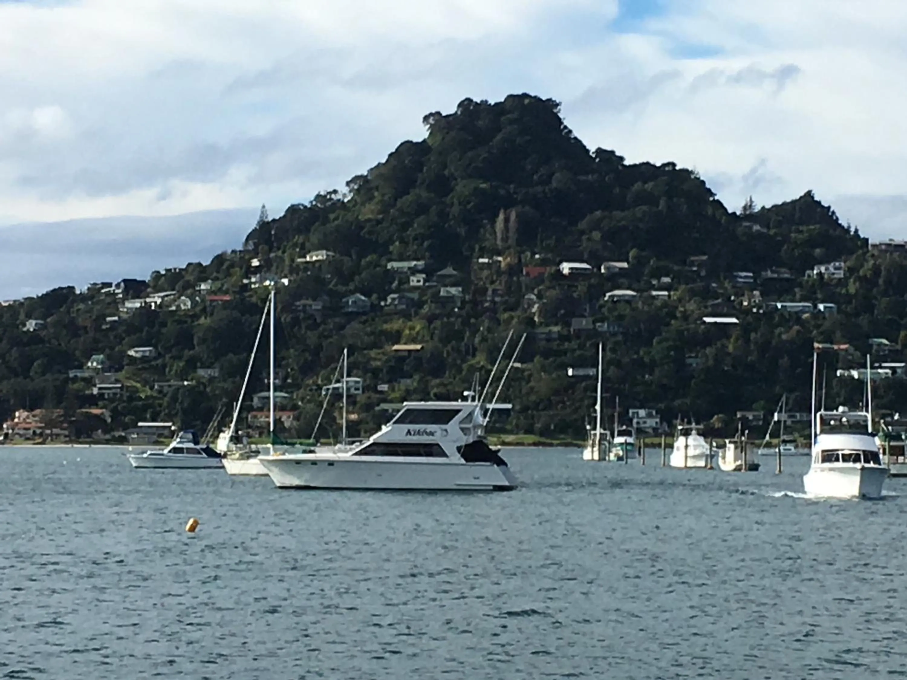 Pretty on Paku, Tairua - Cottage