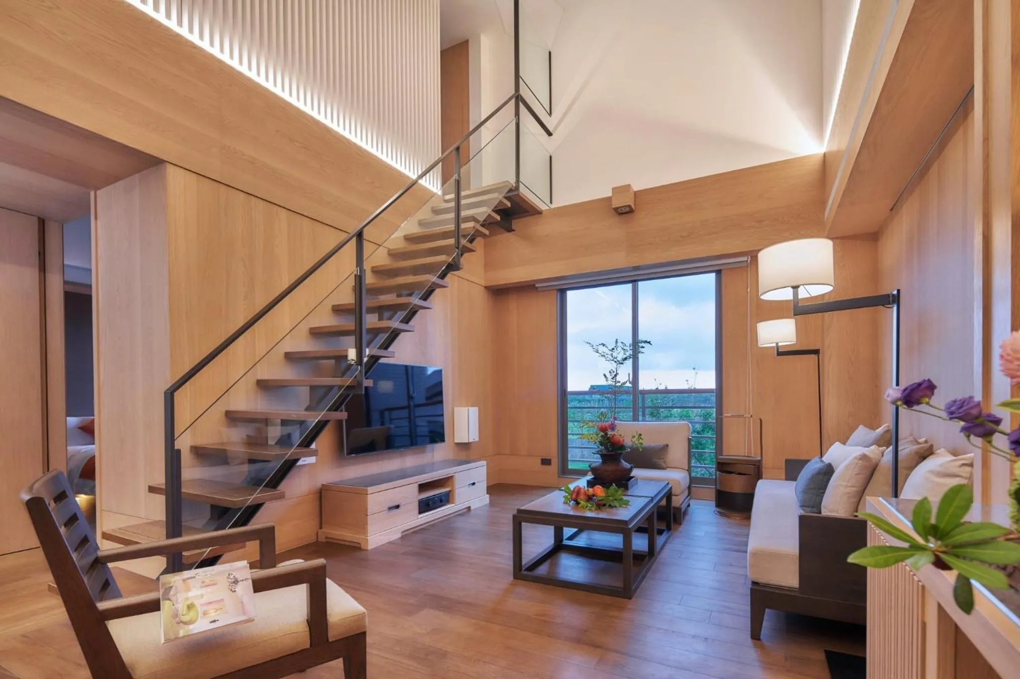TV and multimedia in Apexvilla-moon