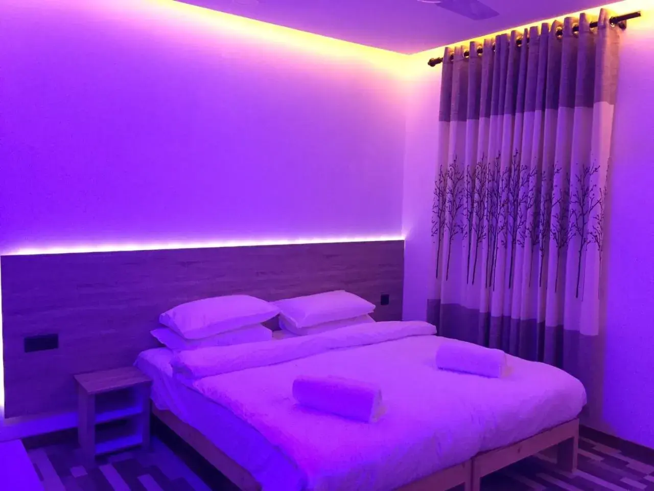 Bed in Molar Wave Bed in Molar Wave