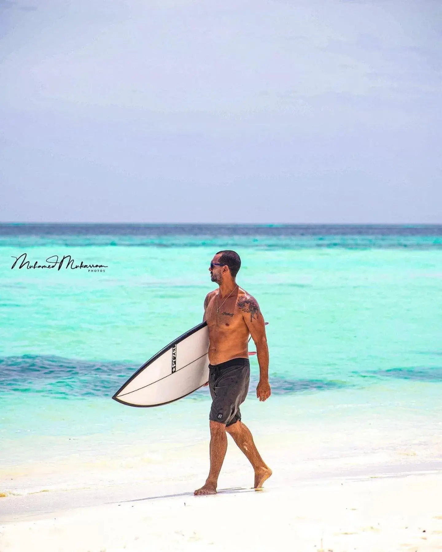 Molar Wave Molar Wave