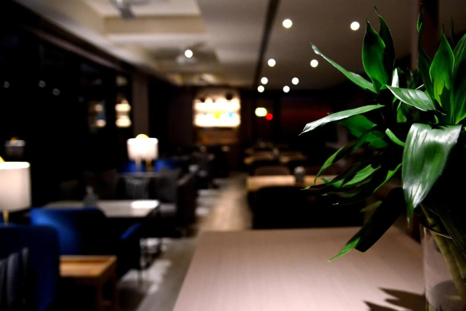 Restaurant/places to eat in Jolley Hotel