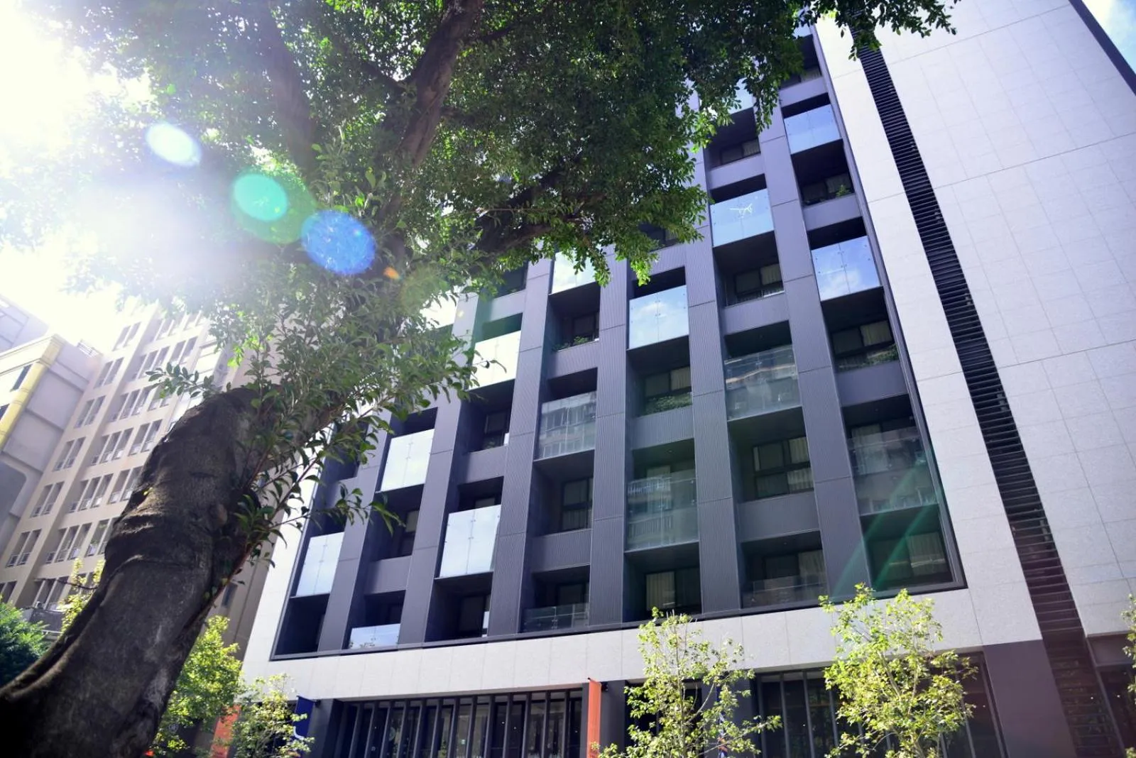 Property building in Jolley Hotel