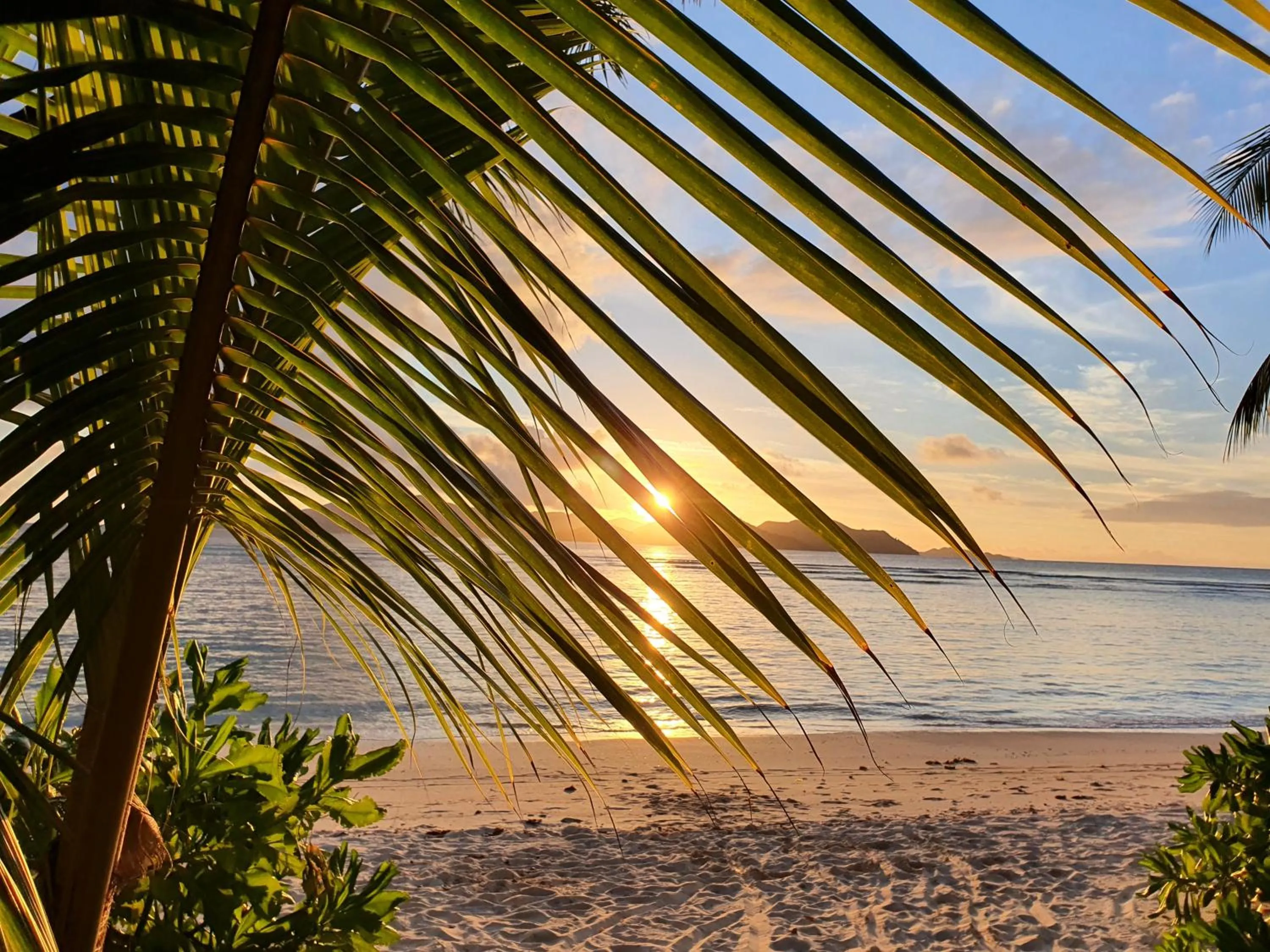 Beach in La Digue Island Lodge