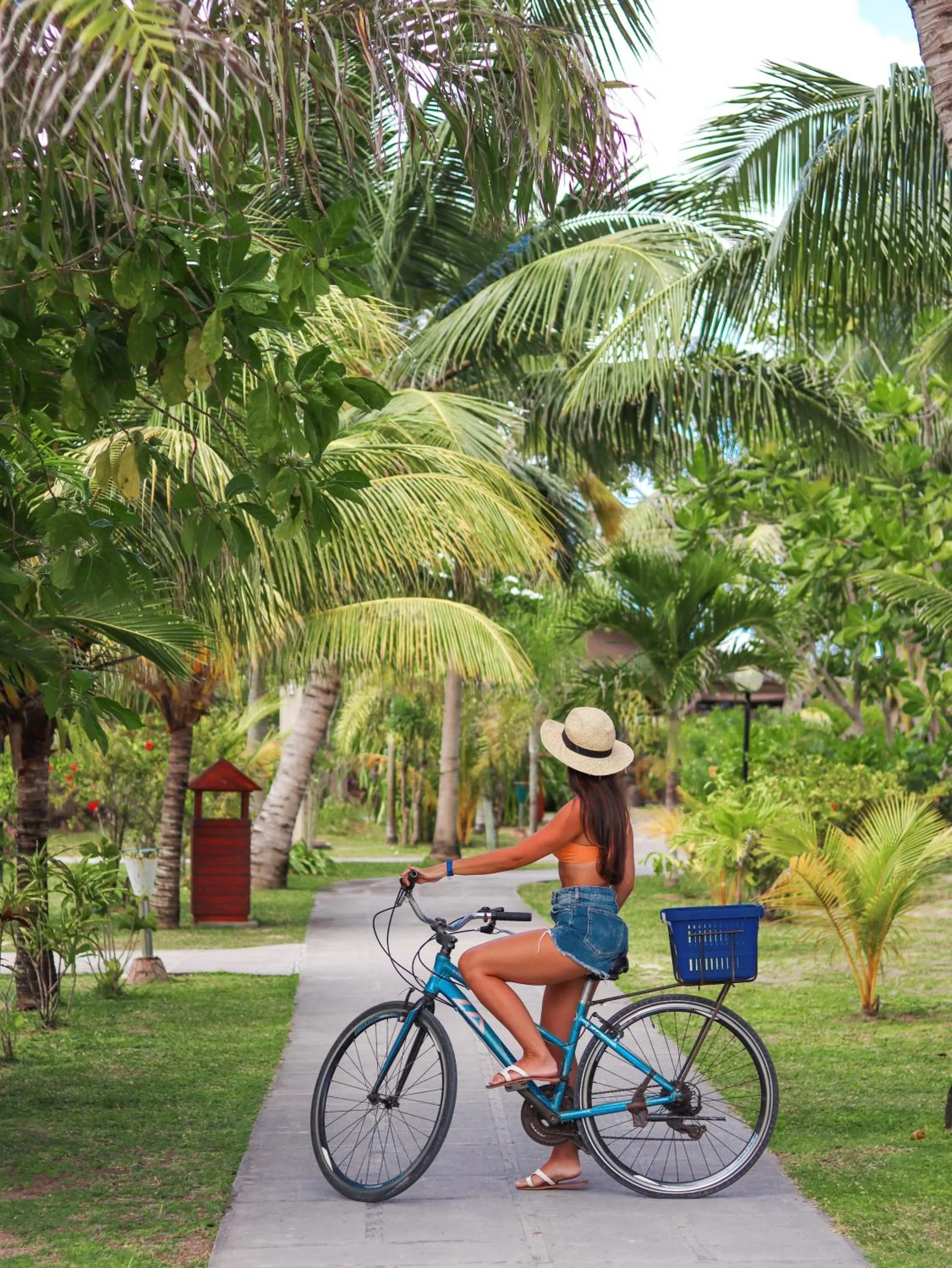 Garden in La Digue Island Lodge
