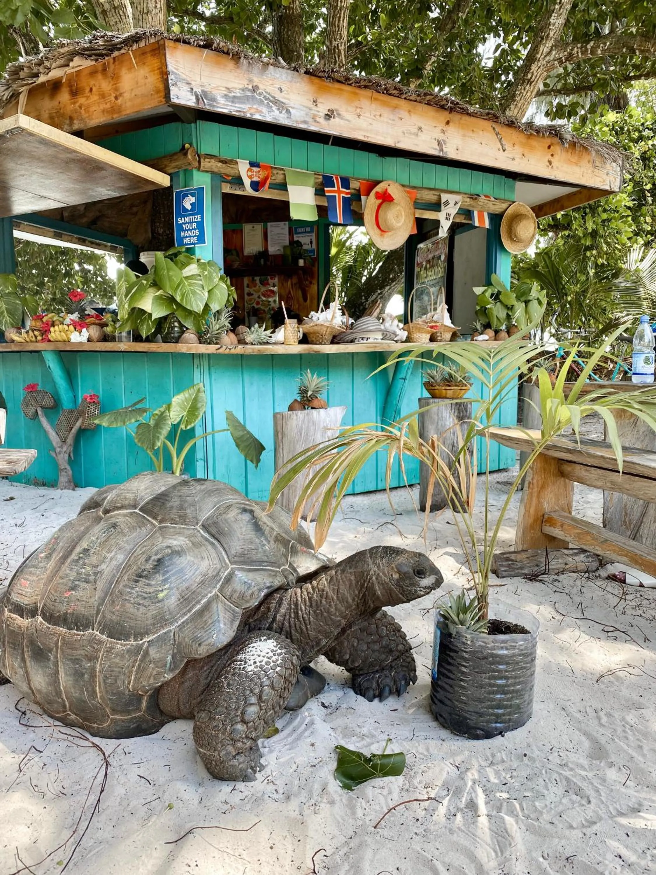 Nearby landmark in La Digue Island Lodge
