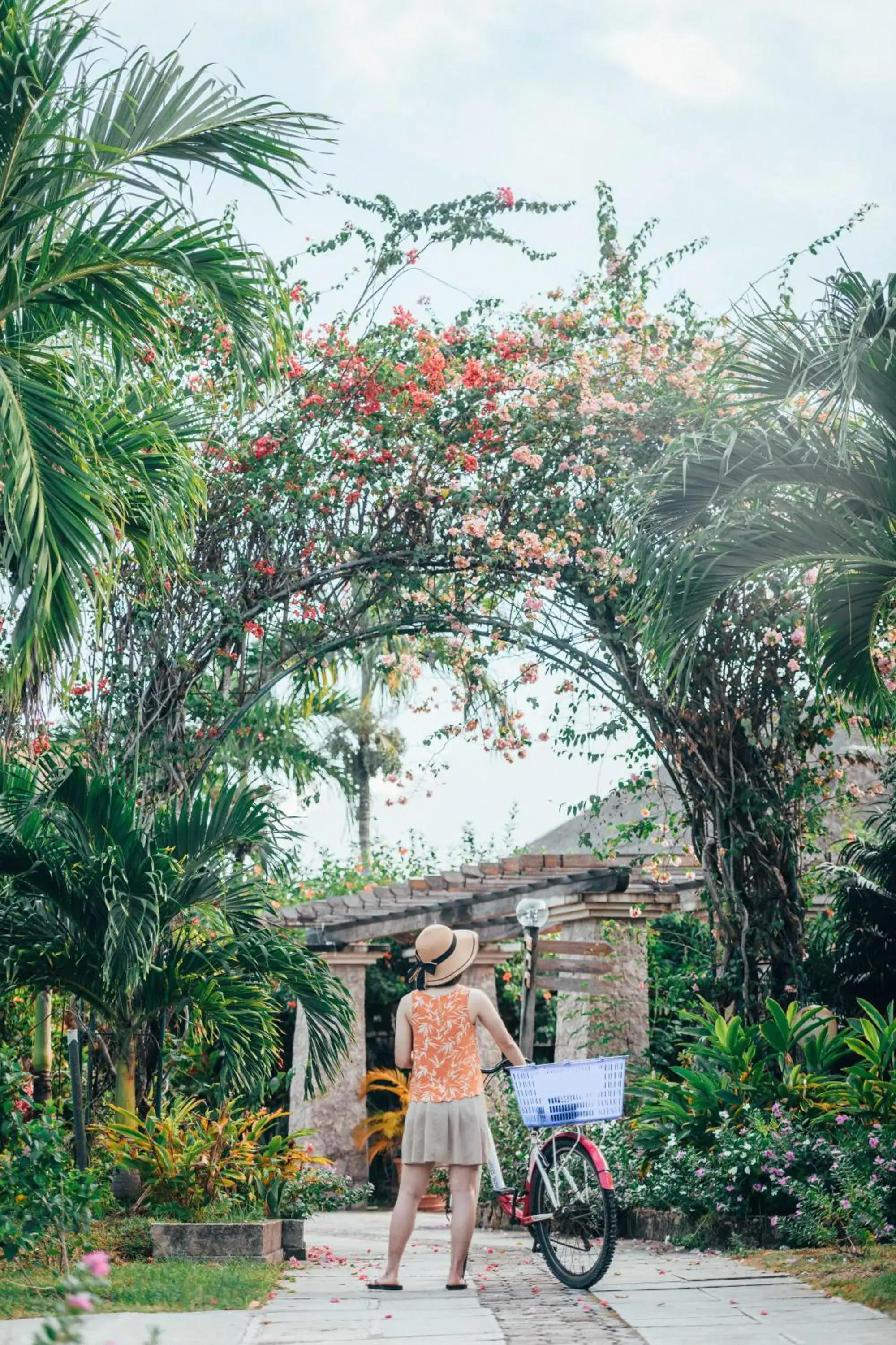 Garden view in La Digue Island Lodge Garden view in La Digue Island Lodge