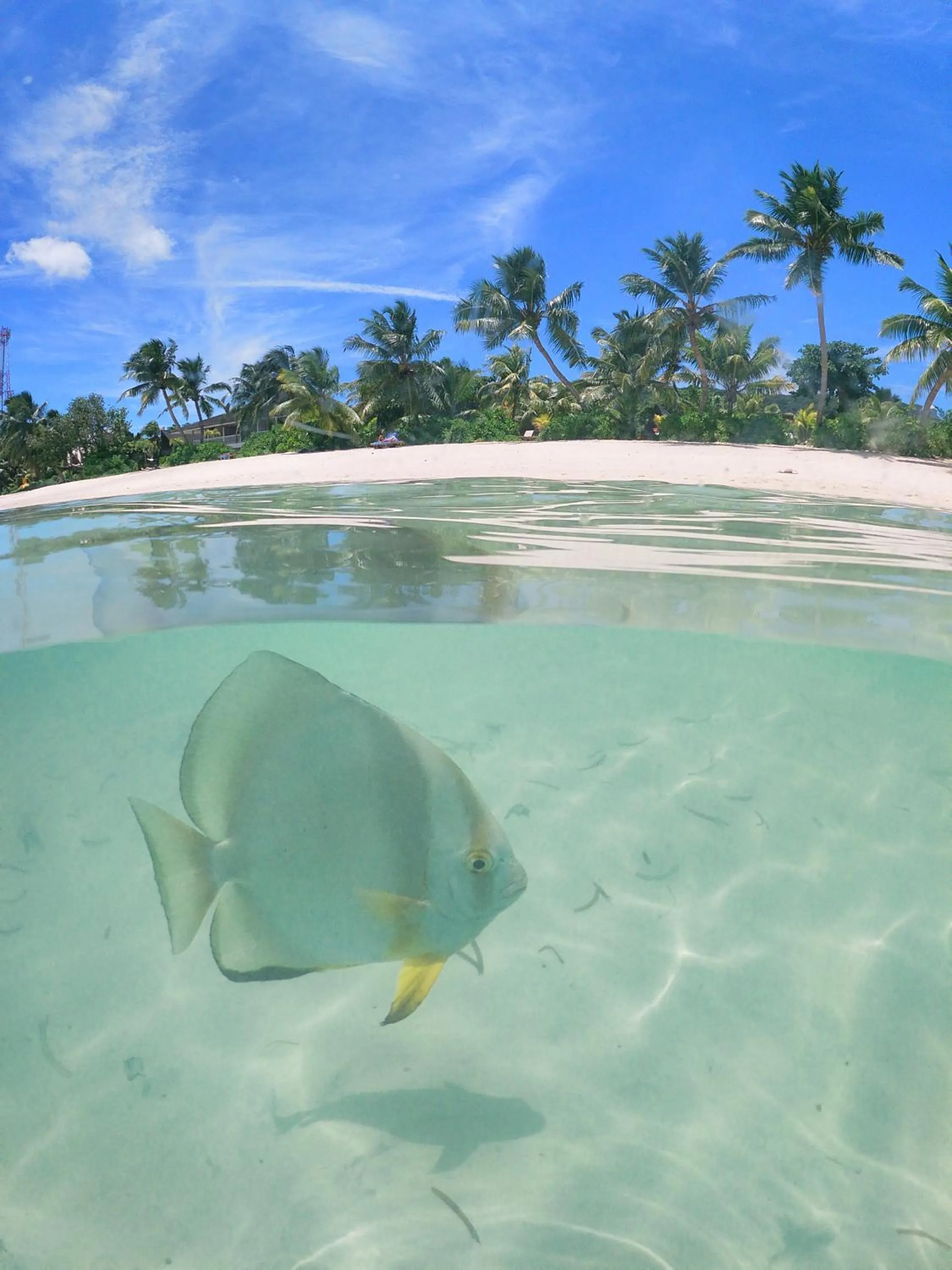 Beach in La Digue Island Lodge