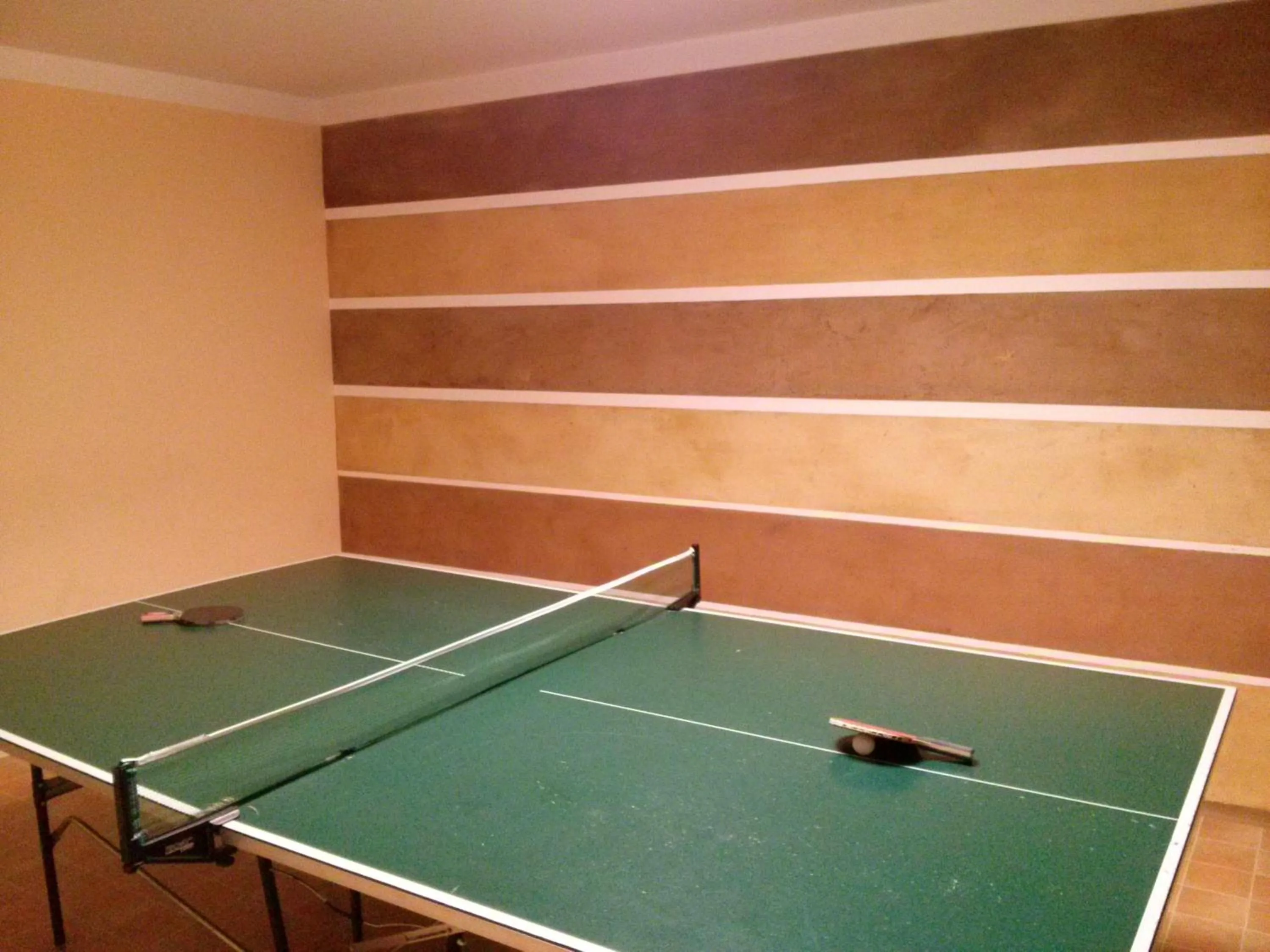 Table tennis in Hotel Garni Erler