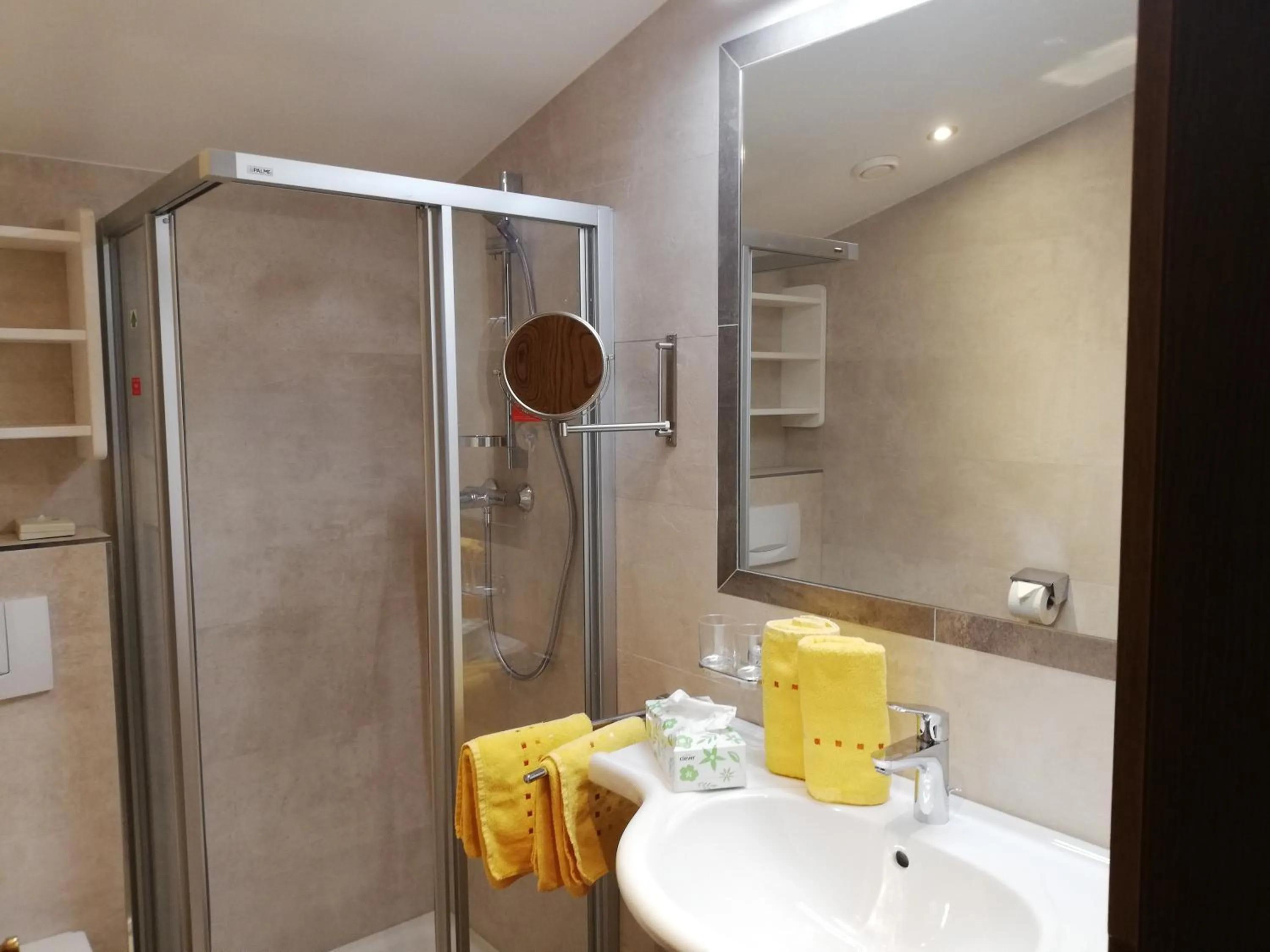 Shower in Hotel Garni Erler