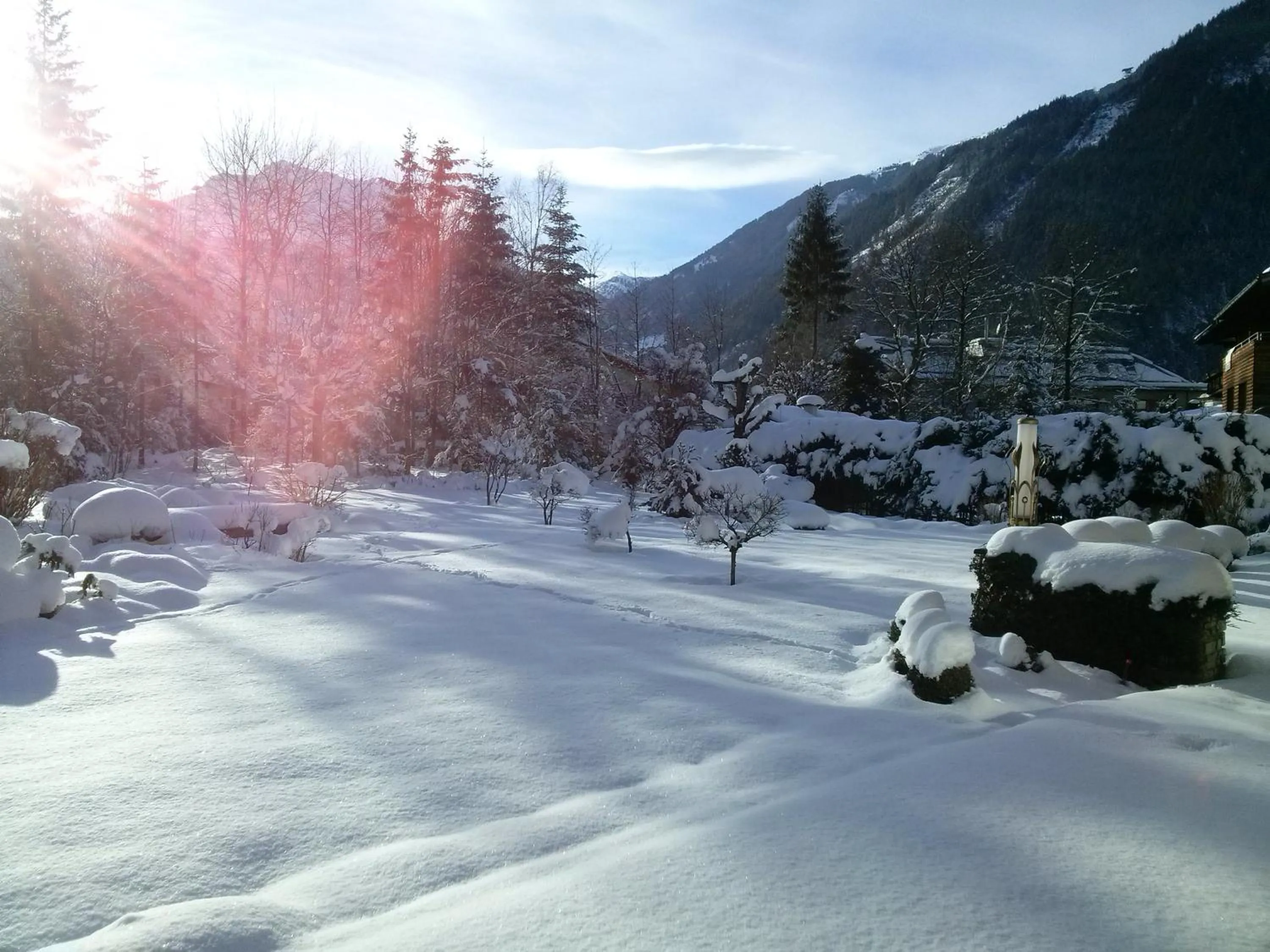 Garden in Hotel Garni Erler