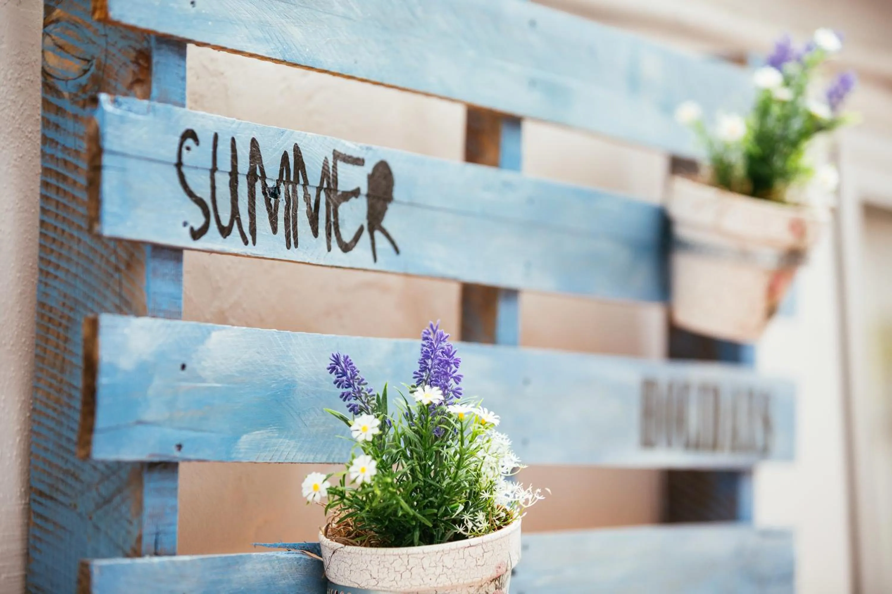 Area and facilities in Garau Petit Hotel