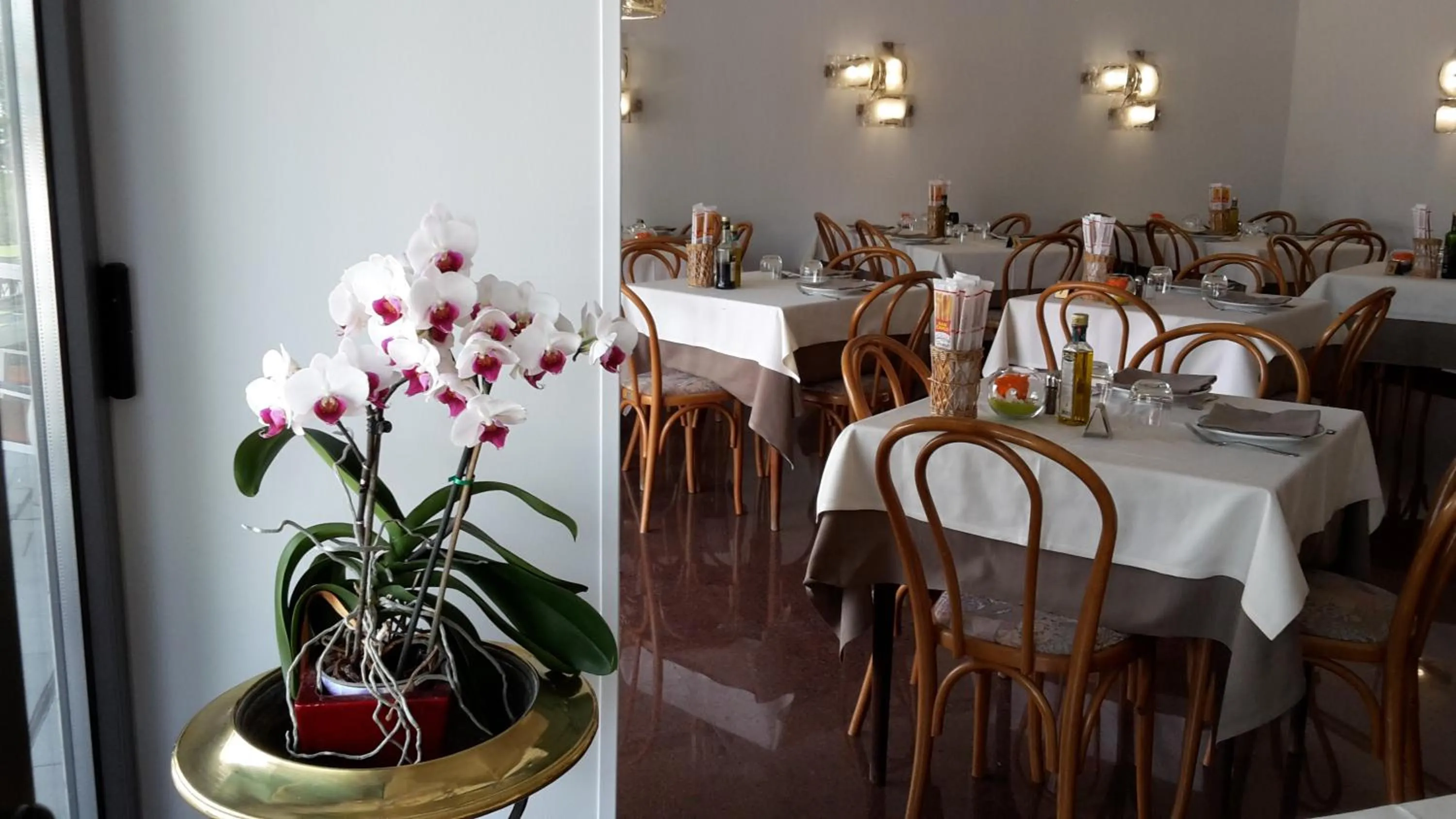 Restaurant/places to eat in Hotel Belvedere