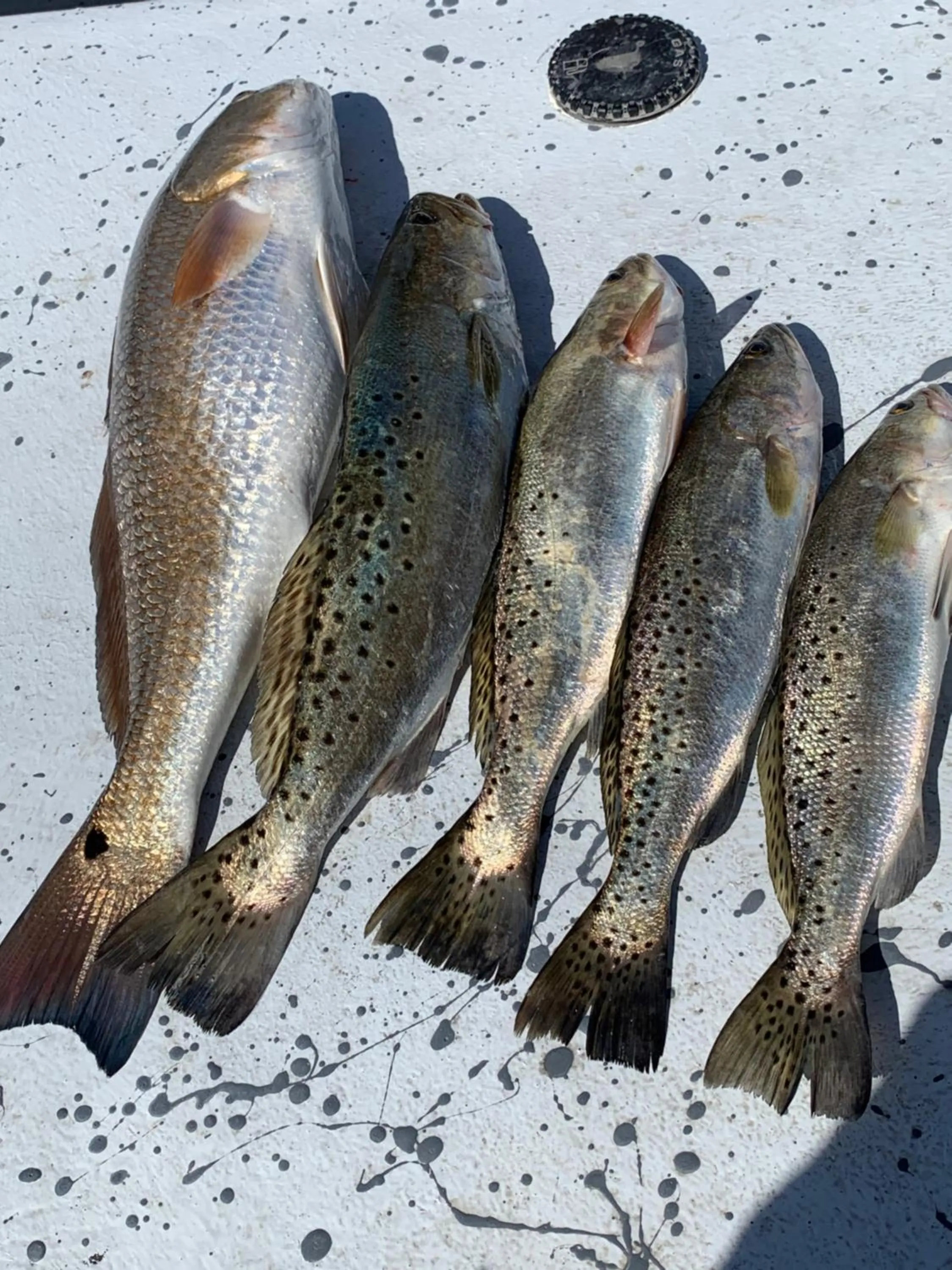 Pirates Pointe Resort