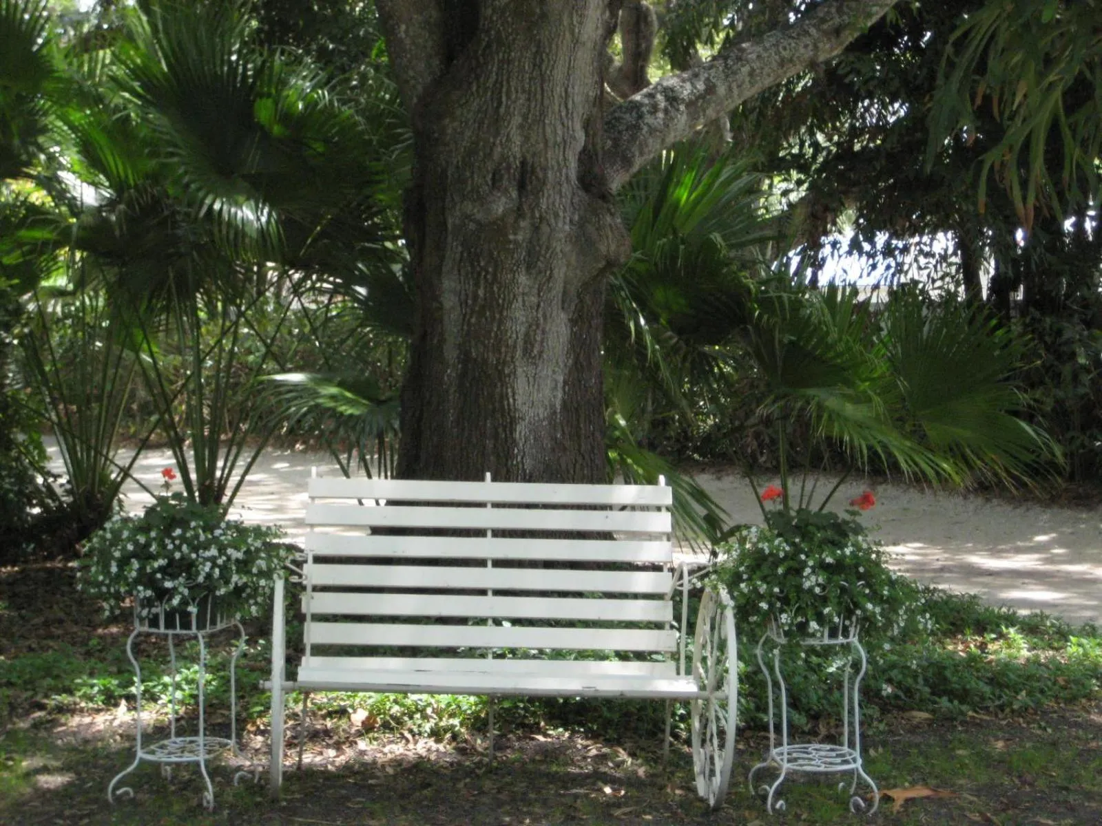 Internal: Not applicable to any particular room in Pirates Pointe Resort