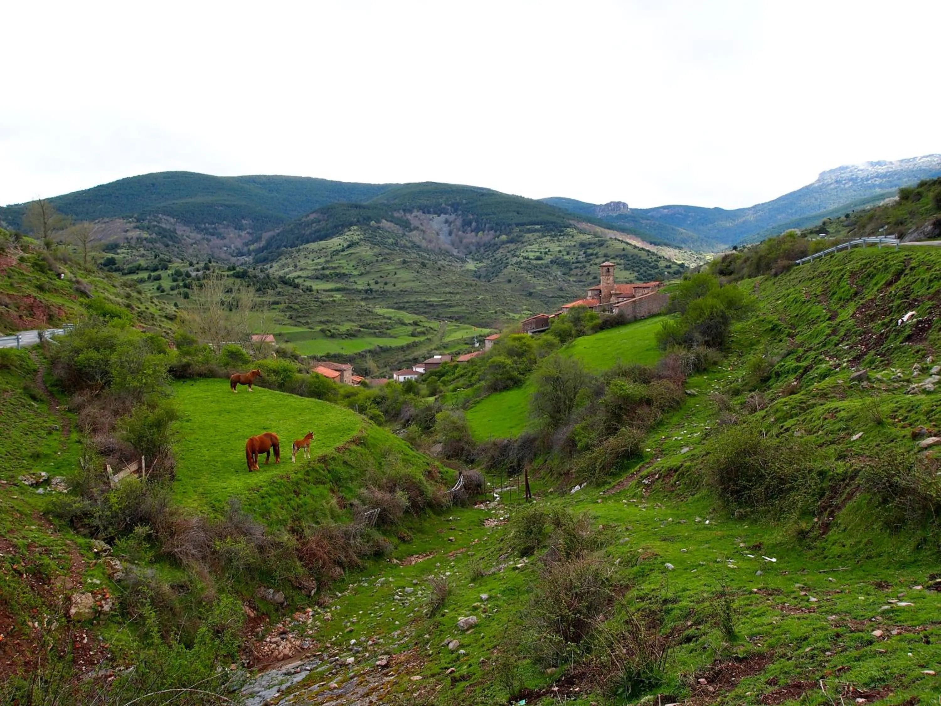 Other in Posada Real La Almazuela