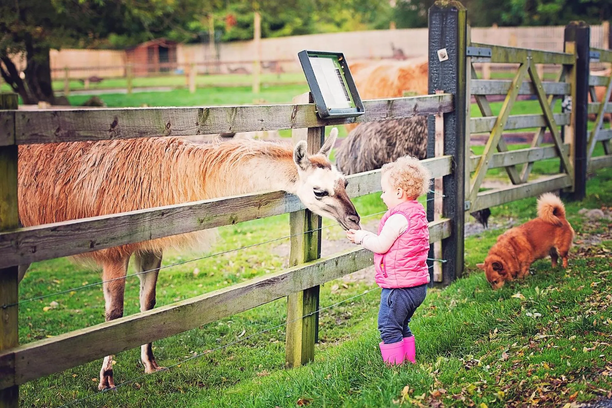 Activities in Athlone Springs Hotel