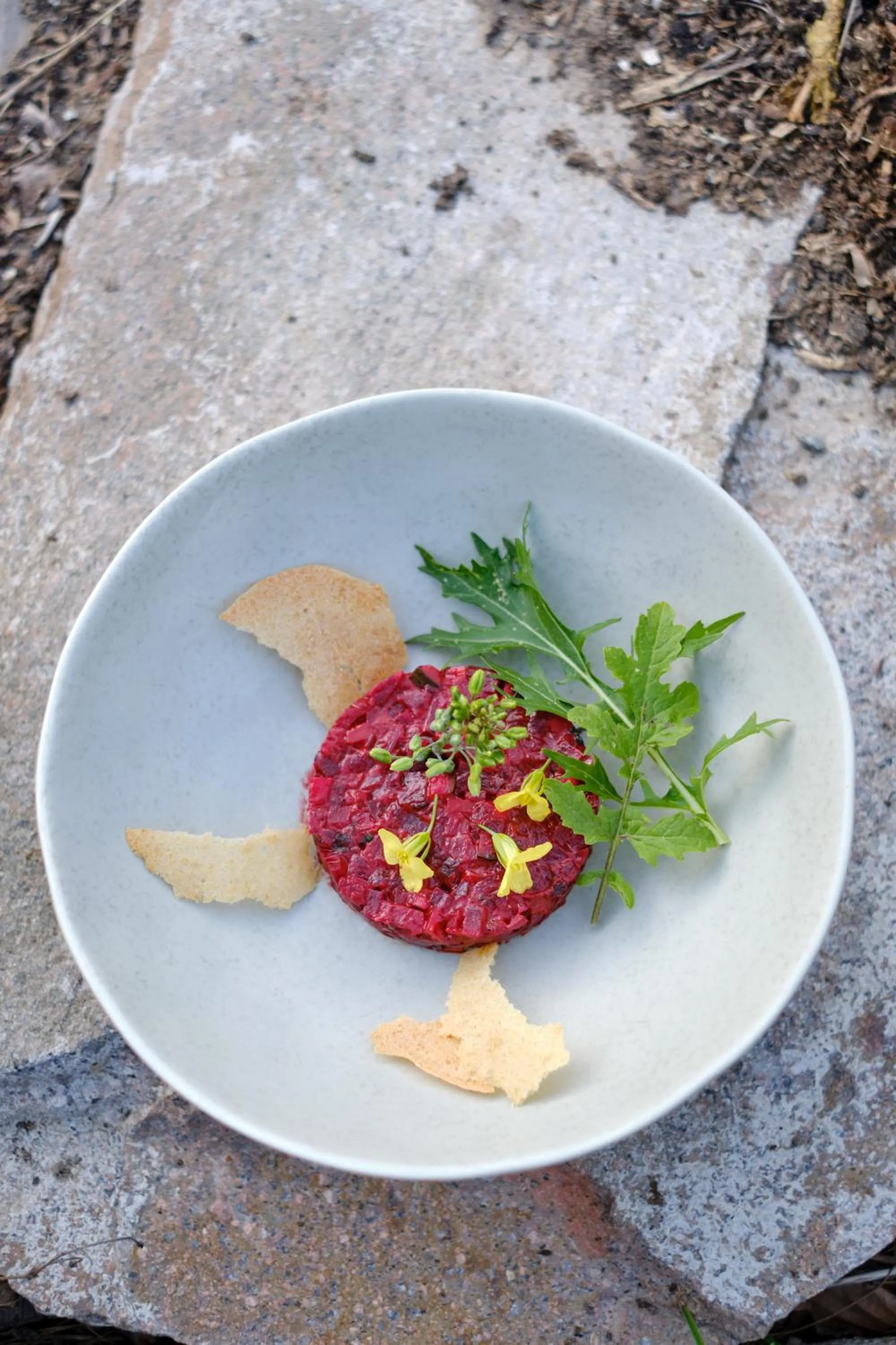 Dinner in Bio & BikeHotel Steineggerhof