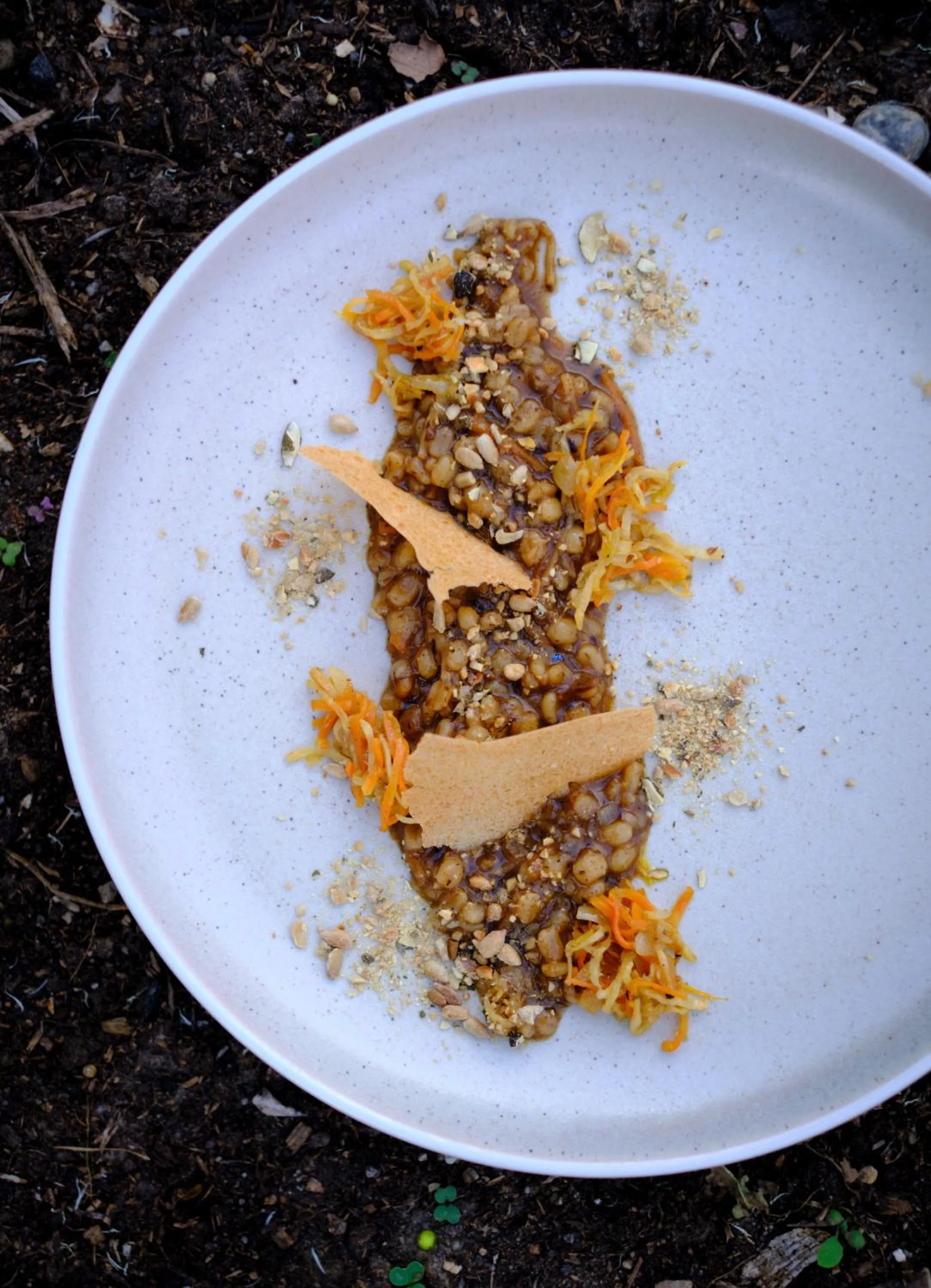 Dinner in Bio & BikeHotel Steineggerhof