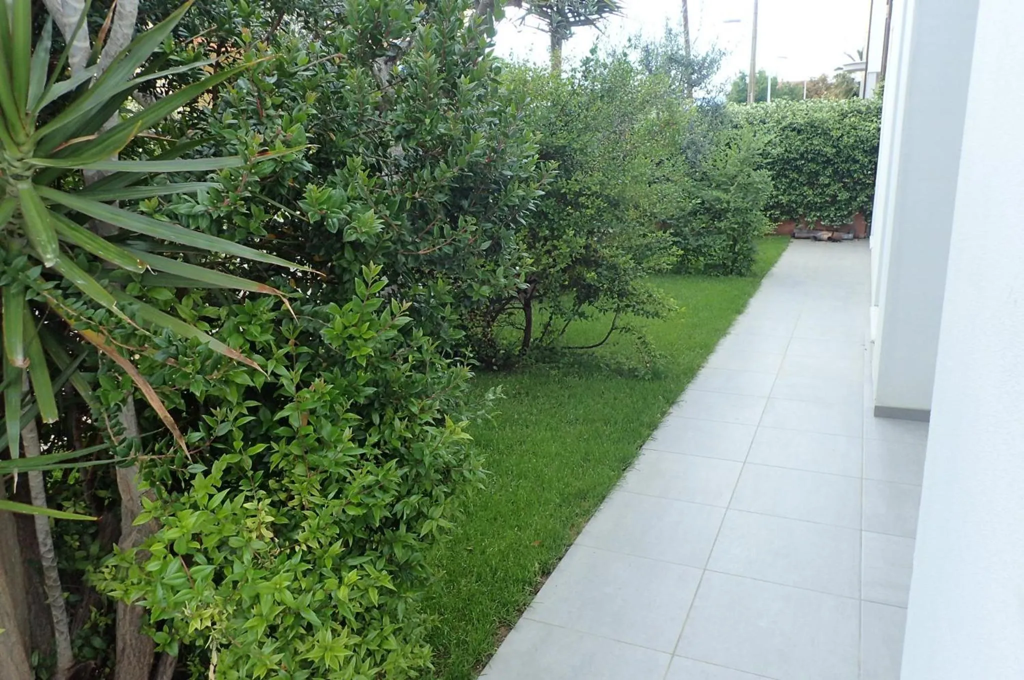 Garden in Alexander B&B